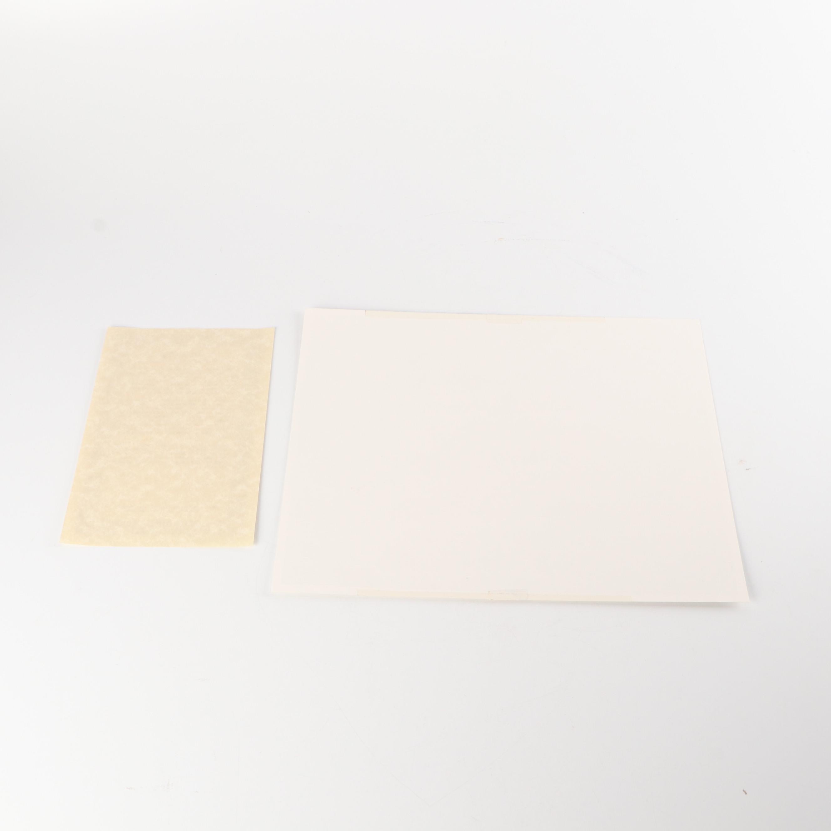 LucasFilm "Ewoks" Animated Series Limited Edition Animation Cel