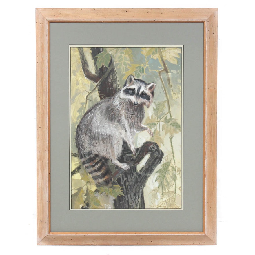 David S. Burnside Raccoon Gouache Painting