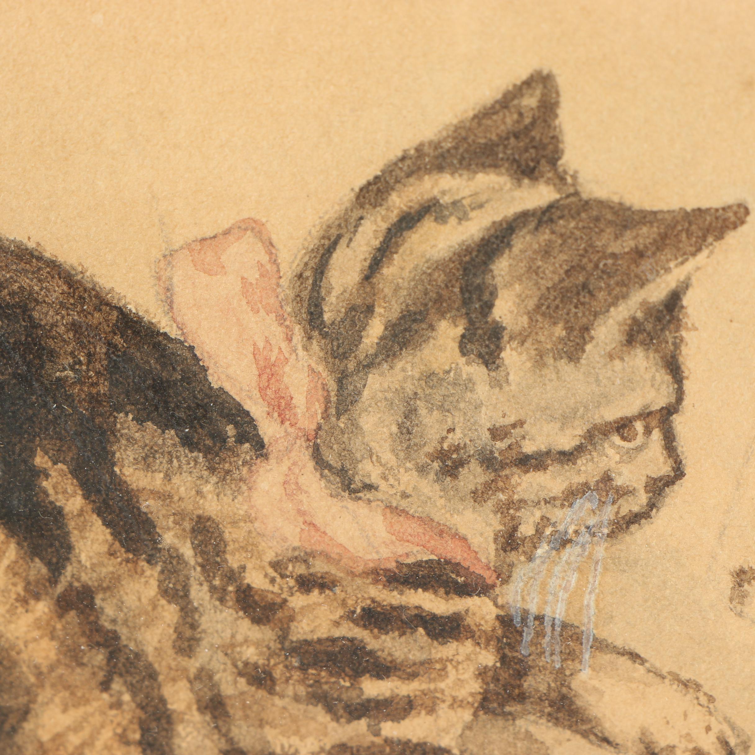 1897 Albumen Photograph and Pastel Drawing of Cats
