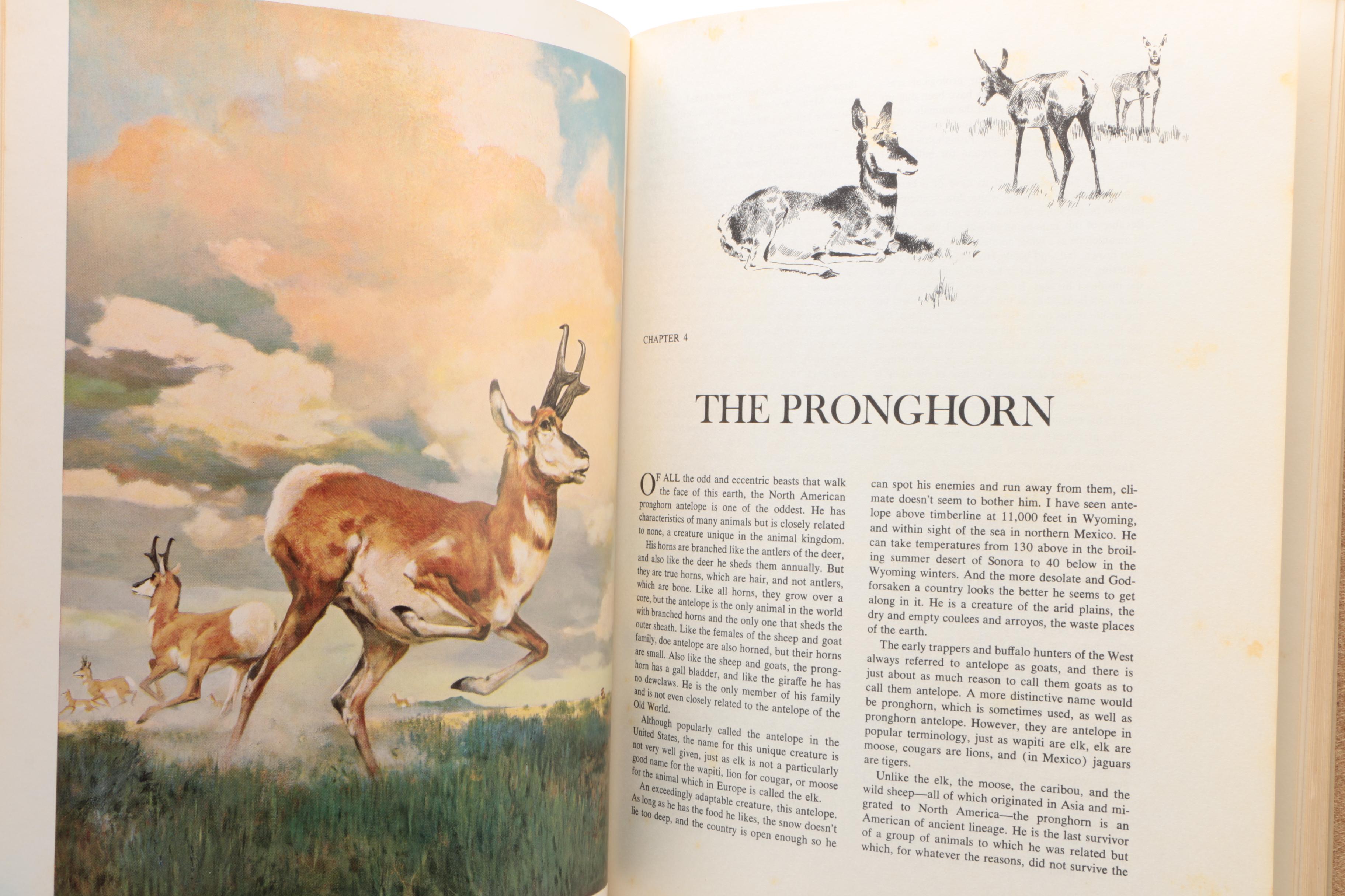 Hunting Books featuring First Edition "African Hunter" by James Mellon, 1975
