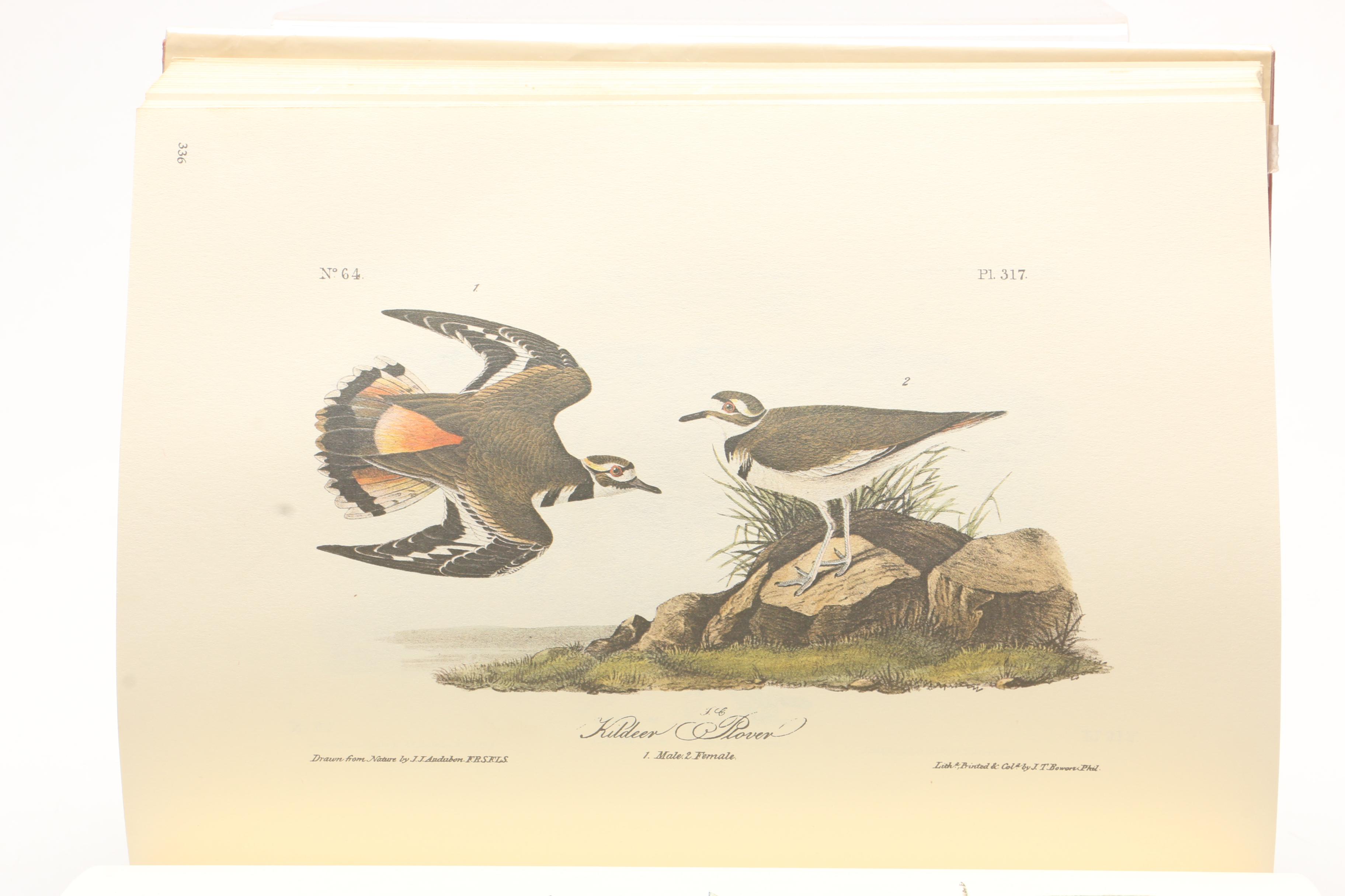 1979 "The Art of Audubon" and 1967 "The Imperial Collection of Audubon Animals"