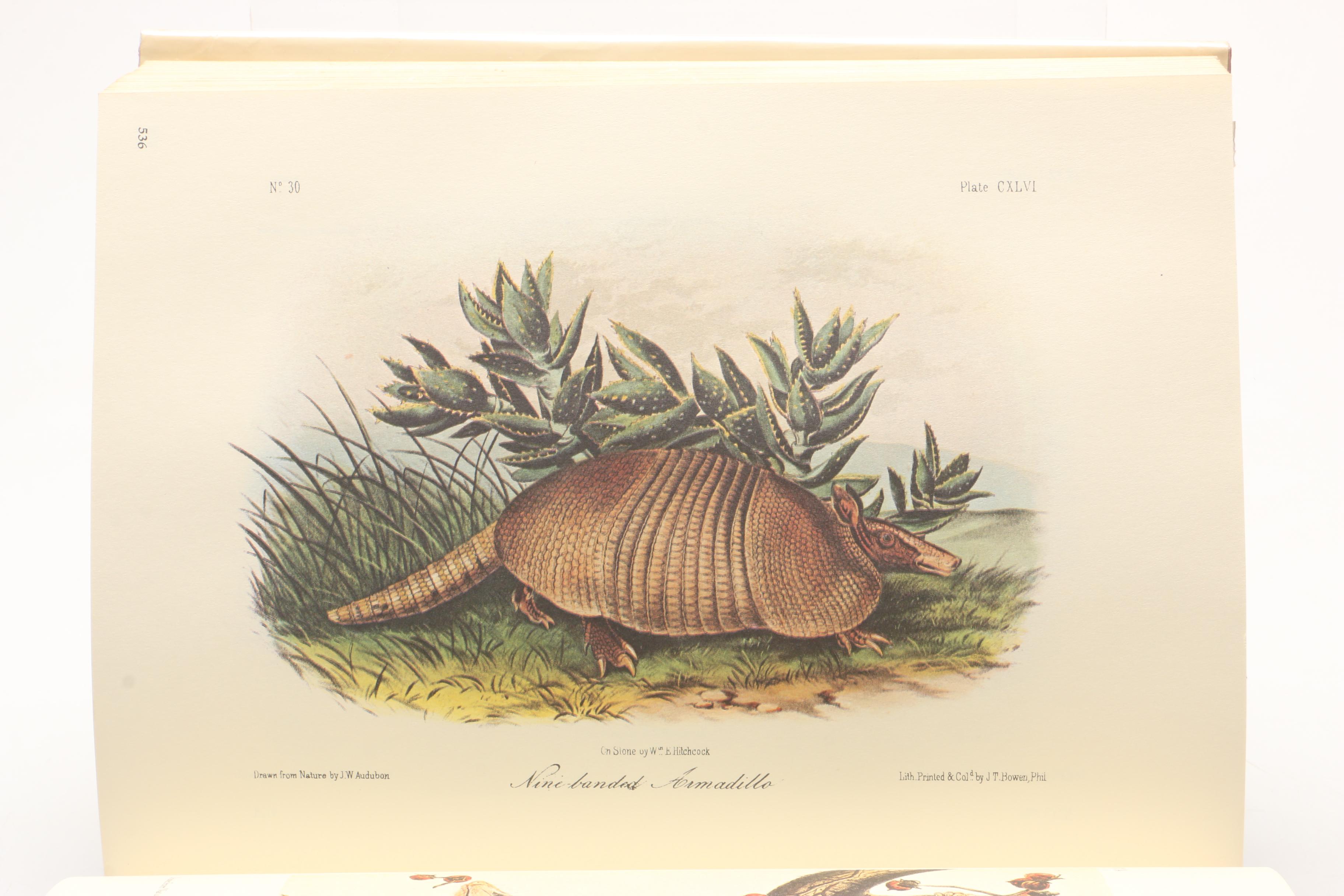 1979 "The Art of Audubon" and 1967 "The Imperial Collection of Audubon Animals"