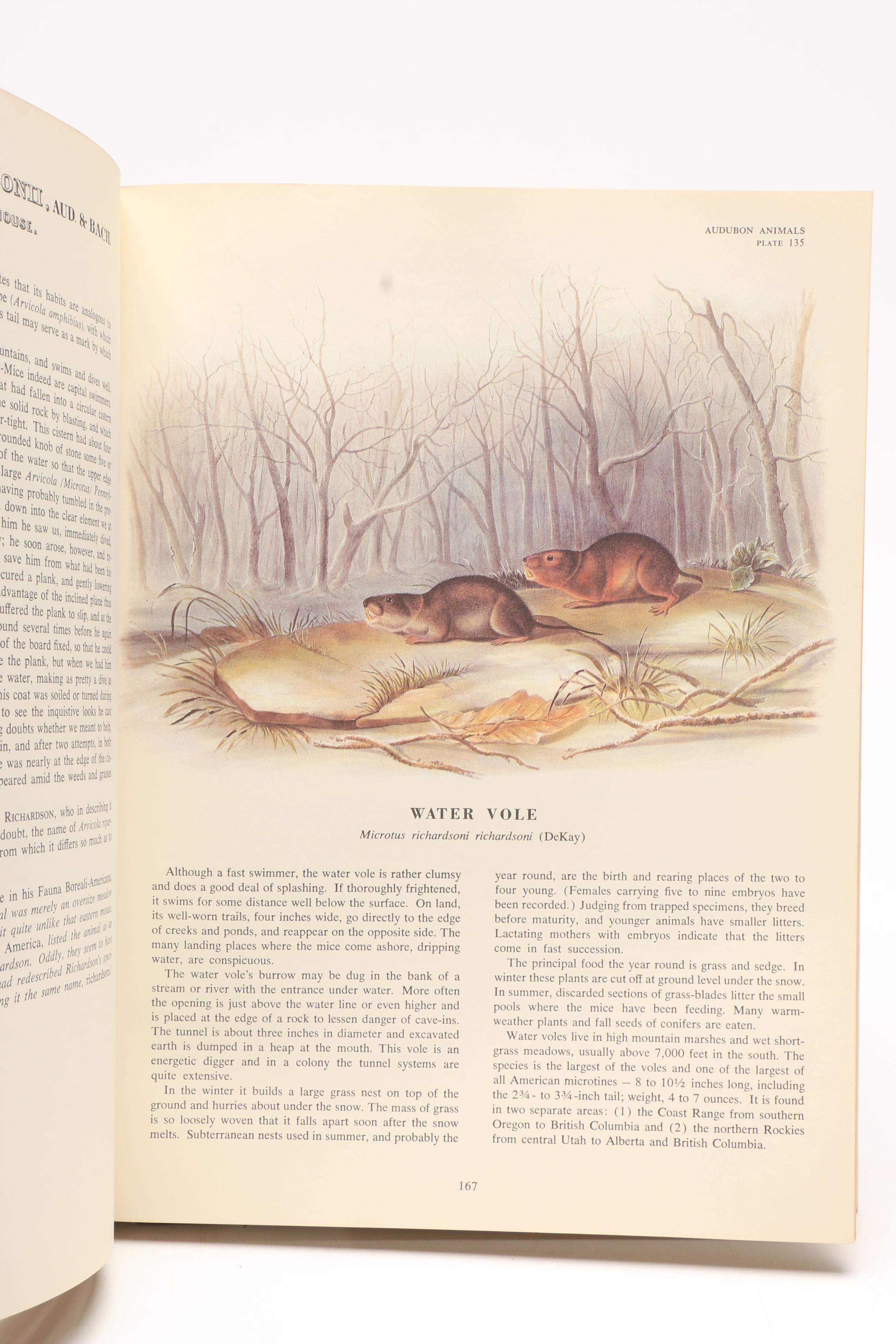 1979 "The Art of Audubon" and 1967 "The Imperial Collection of Audubon Animals"