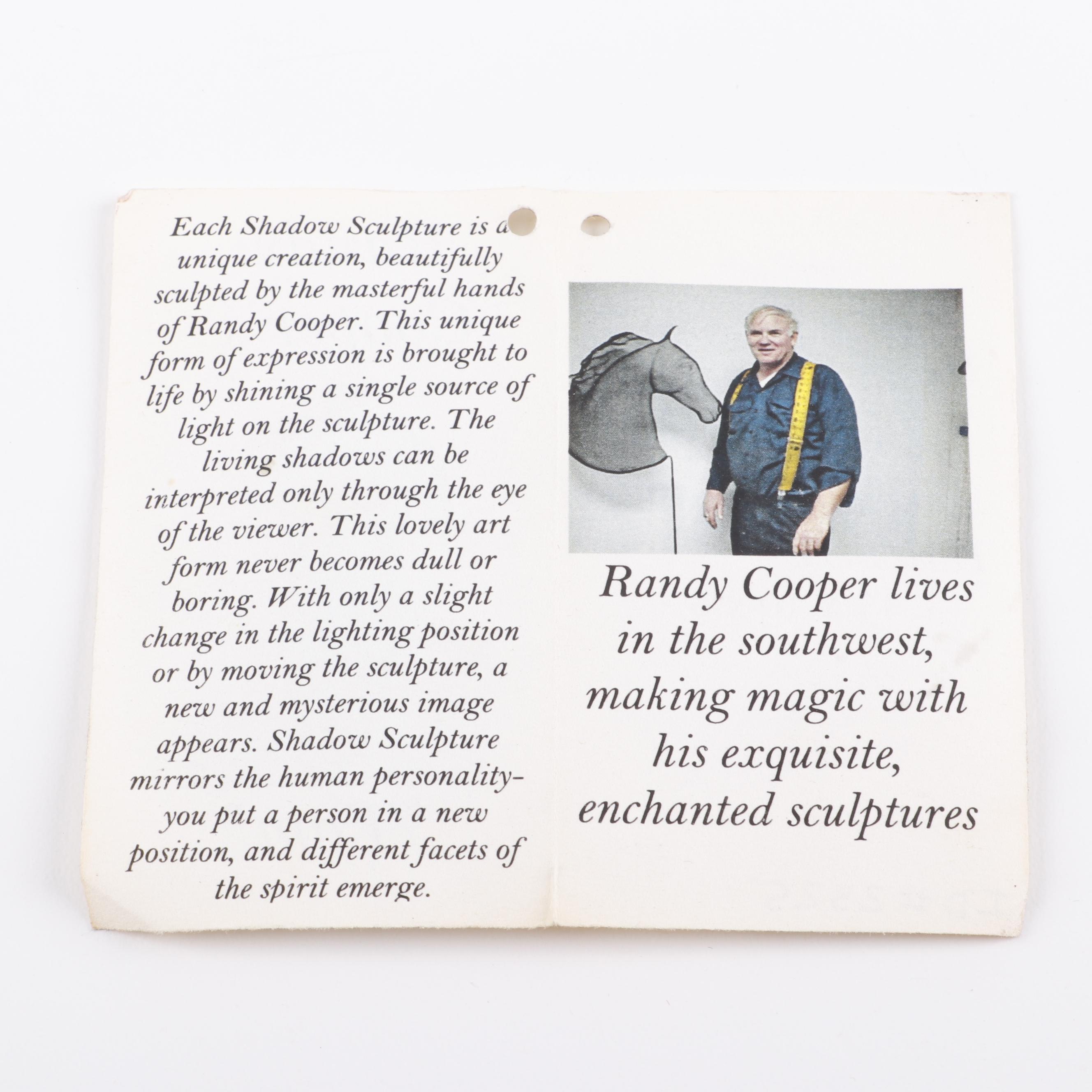 Randy Cooper Mesh Shadow Sculpture "Tom"