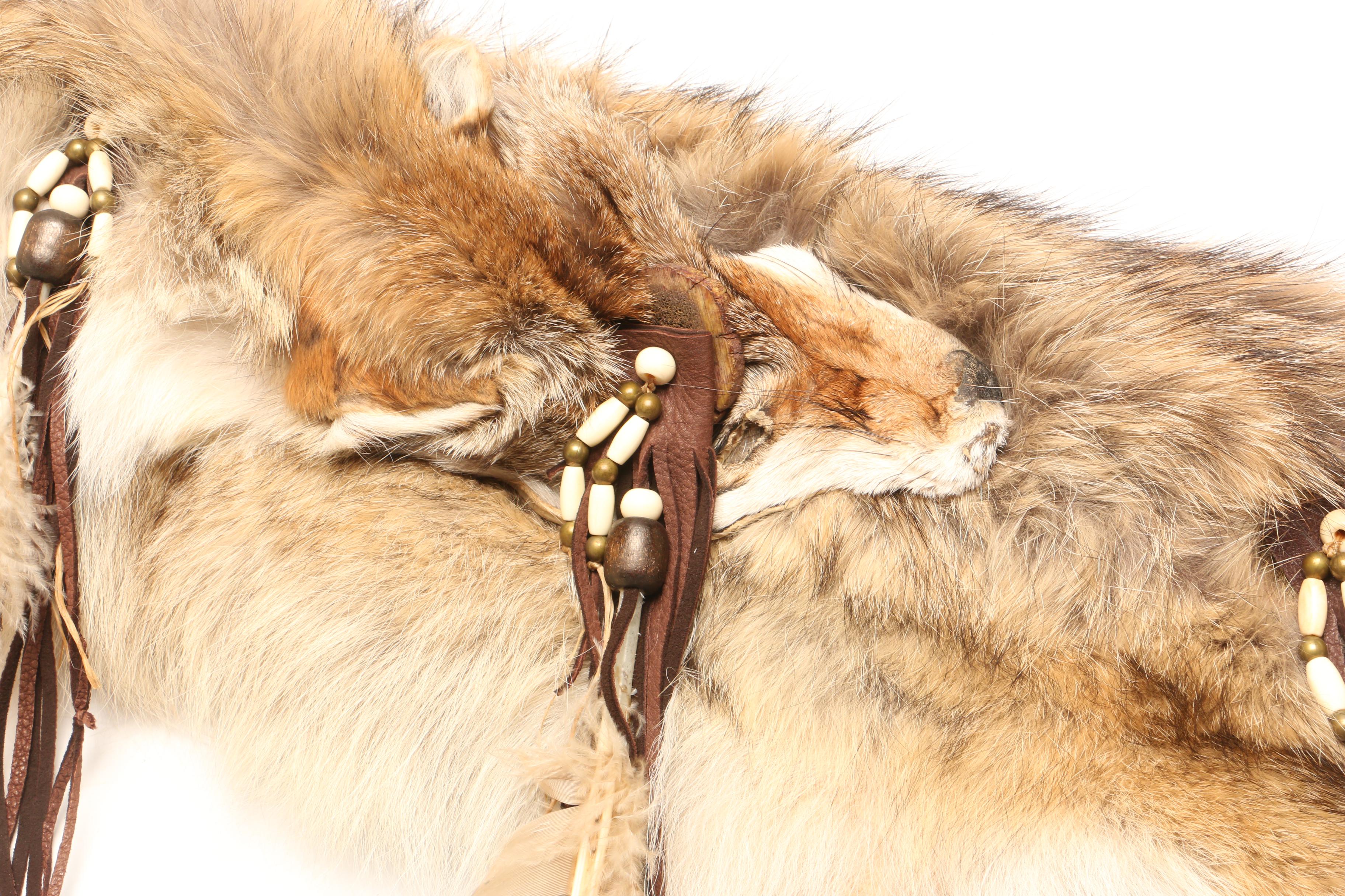 Fedelia Beaver Navajo Taxidermy Coyote Quiver with Arrows