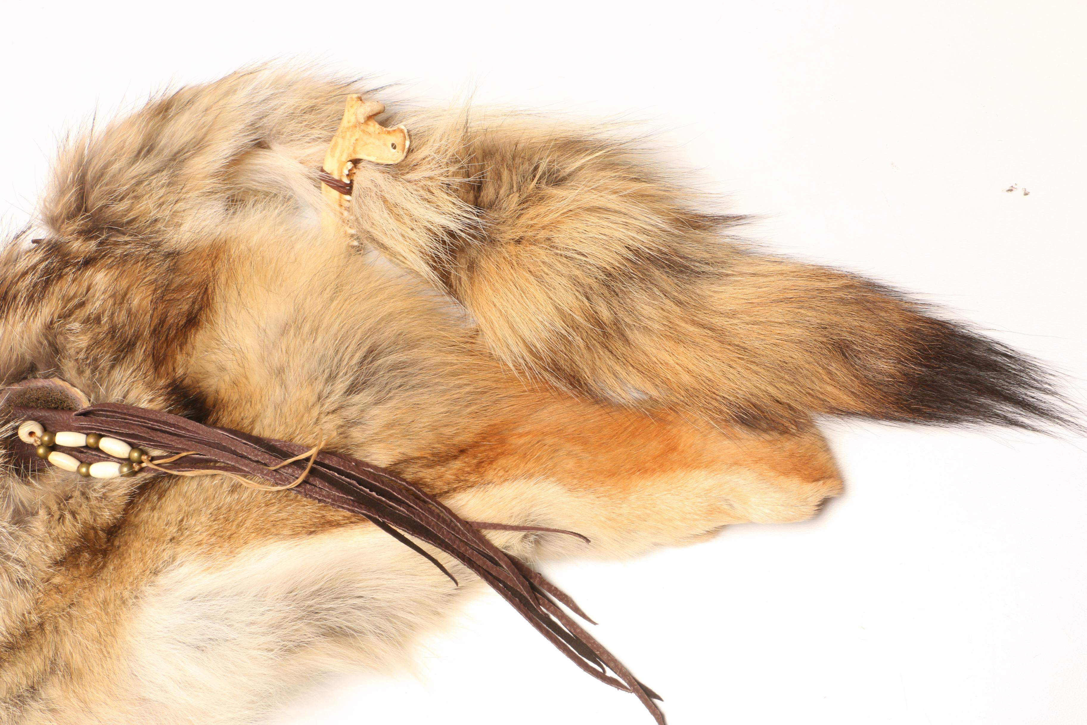 Fedelia Beaver Navajo Taxidermy Coyote Quiver with Arrows