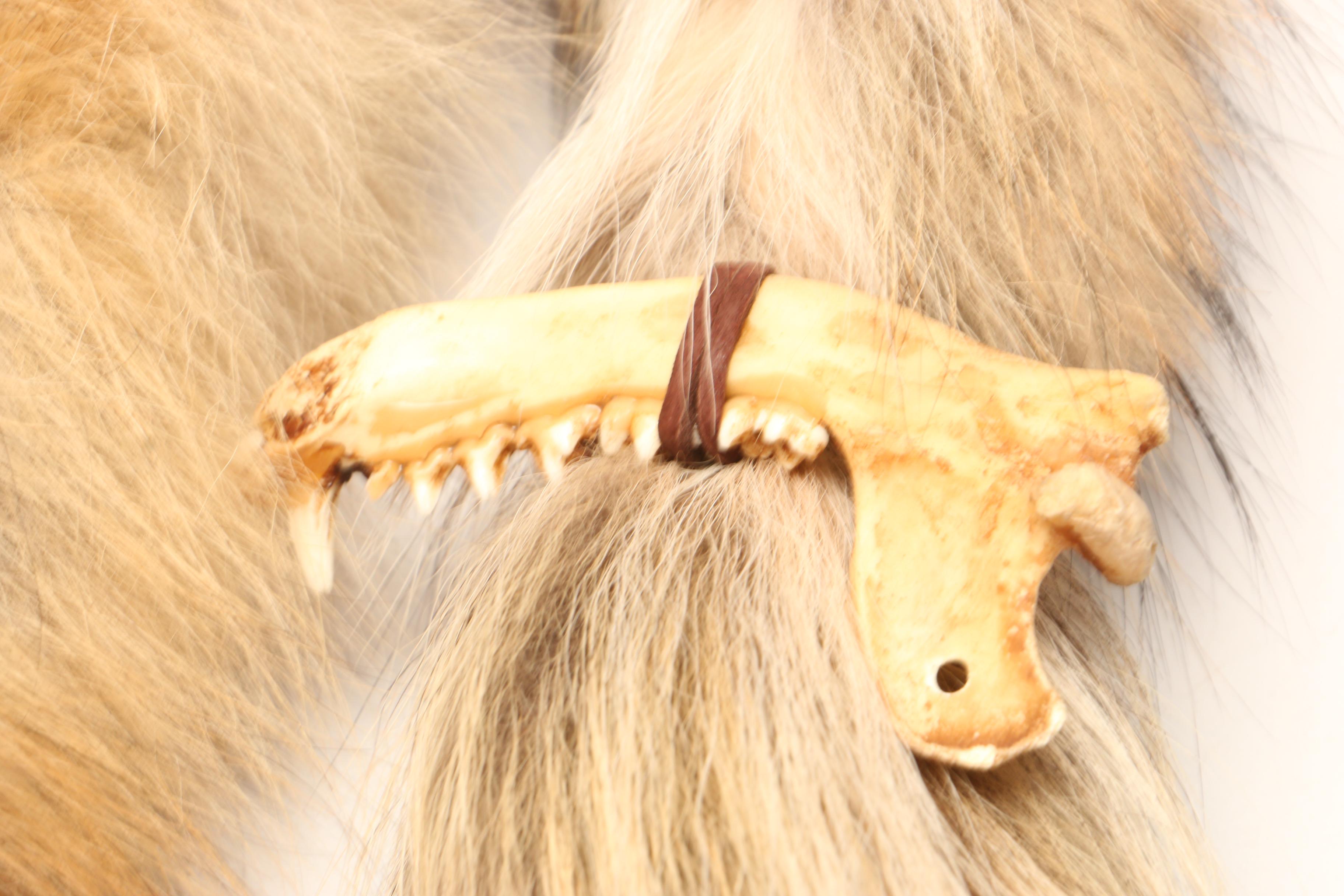 Fedelia Beaver Navajo Taxidermy Coyote Quiver with Arrows