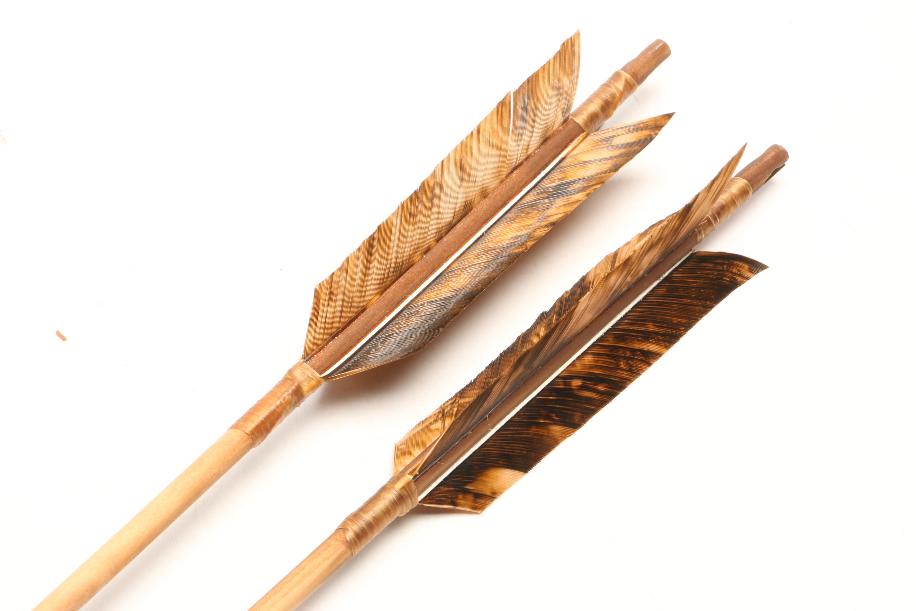 Fedelia Beaver Navajo Taxidermy Coyote Quiver with Arrows