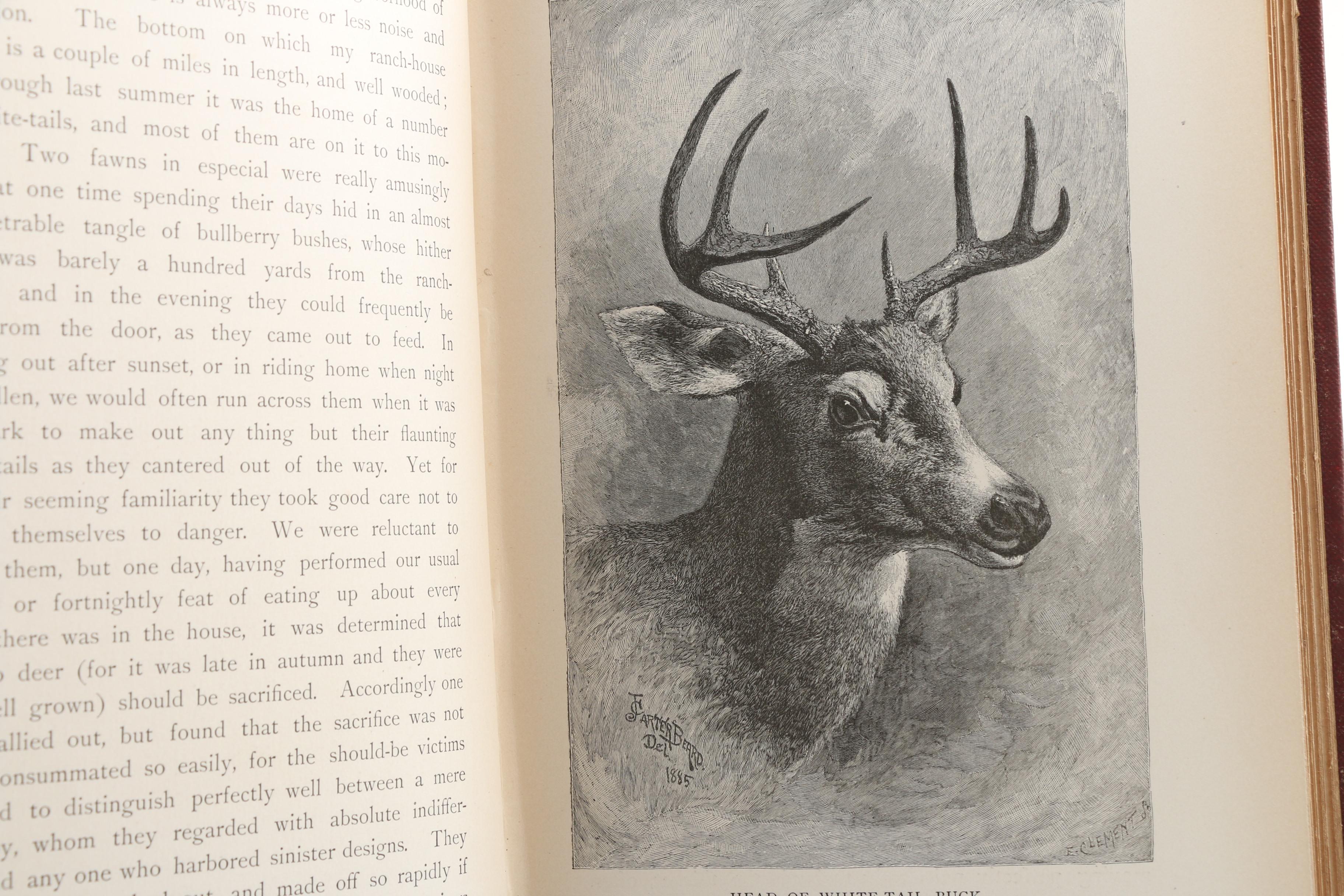 1886 Theodore Roosevelt "Hunting Trips of a Ranchman" First British Edition