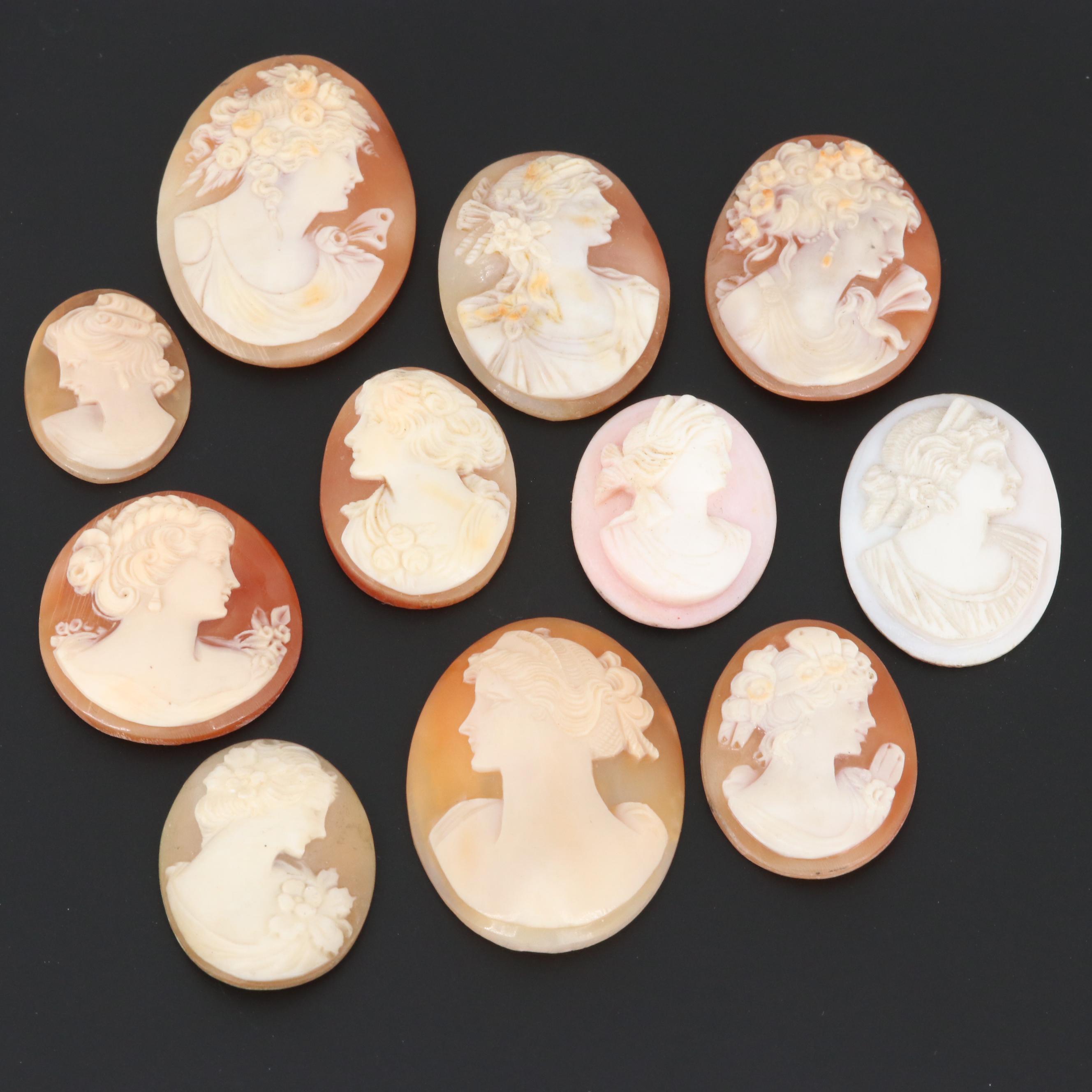 Loose Helmet Shell Cameo Selection