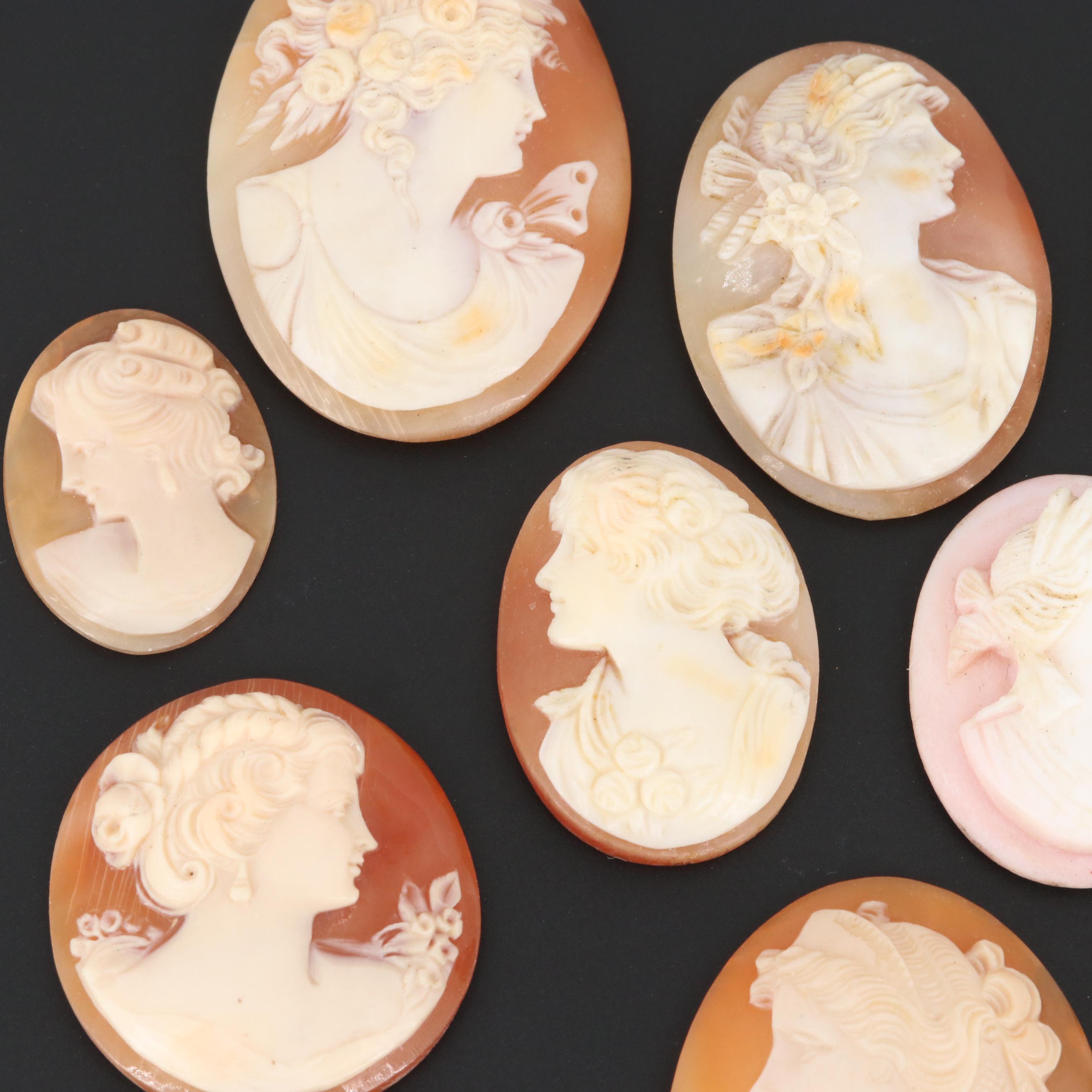 Loose Helmet Shell Cameo Selection