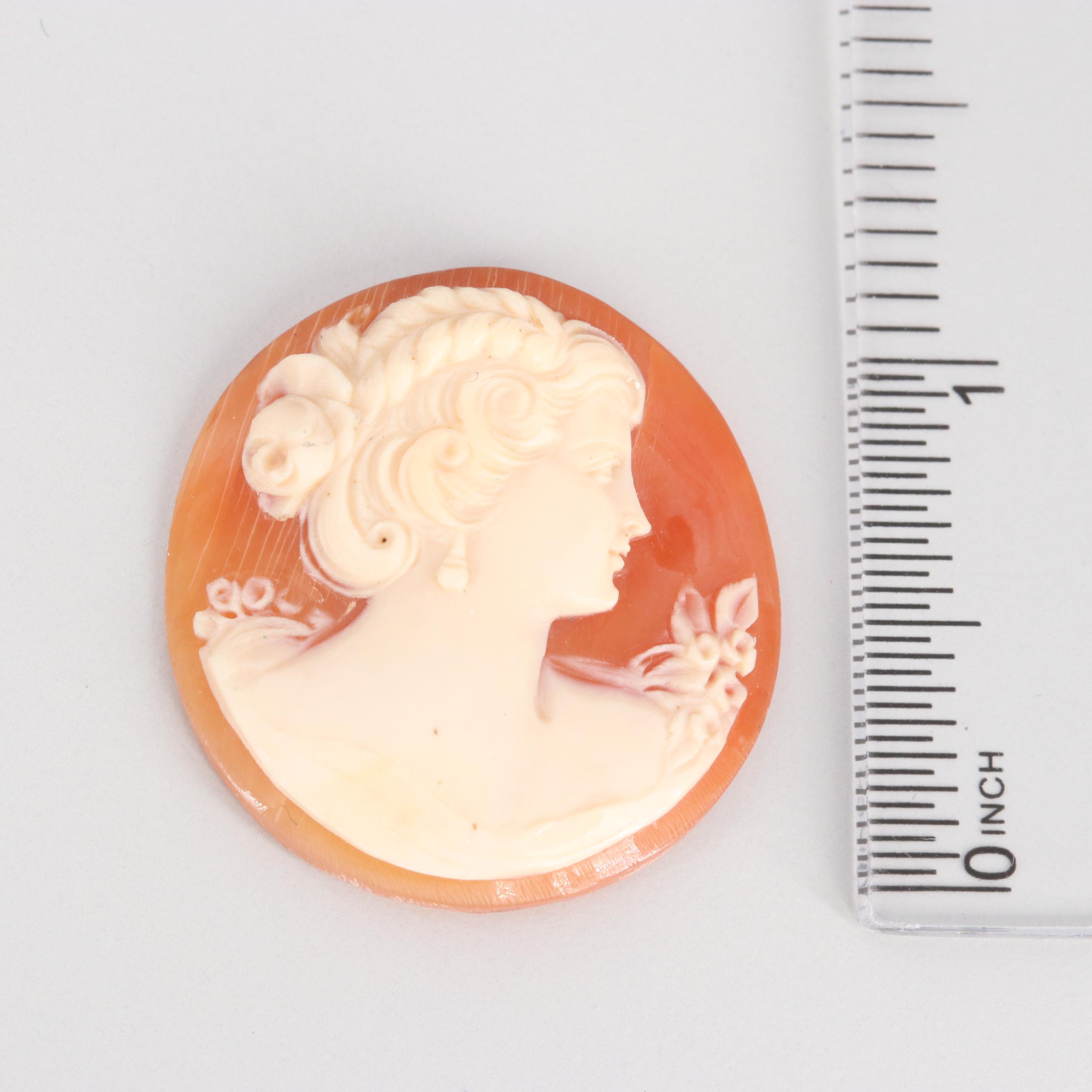 Loose Helmet Shell Cameo Selection