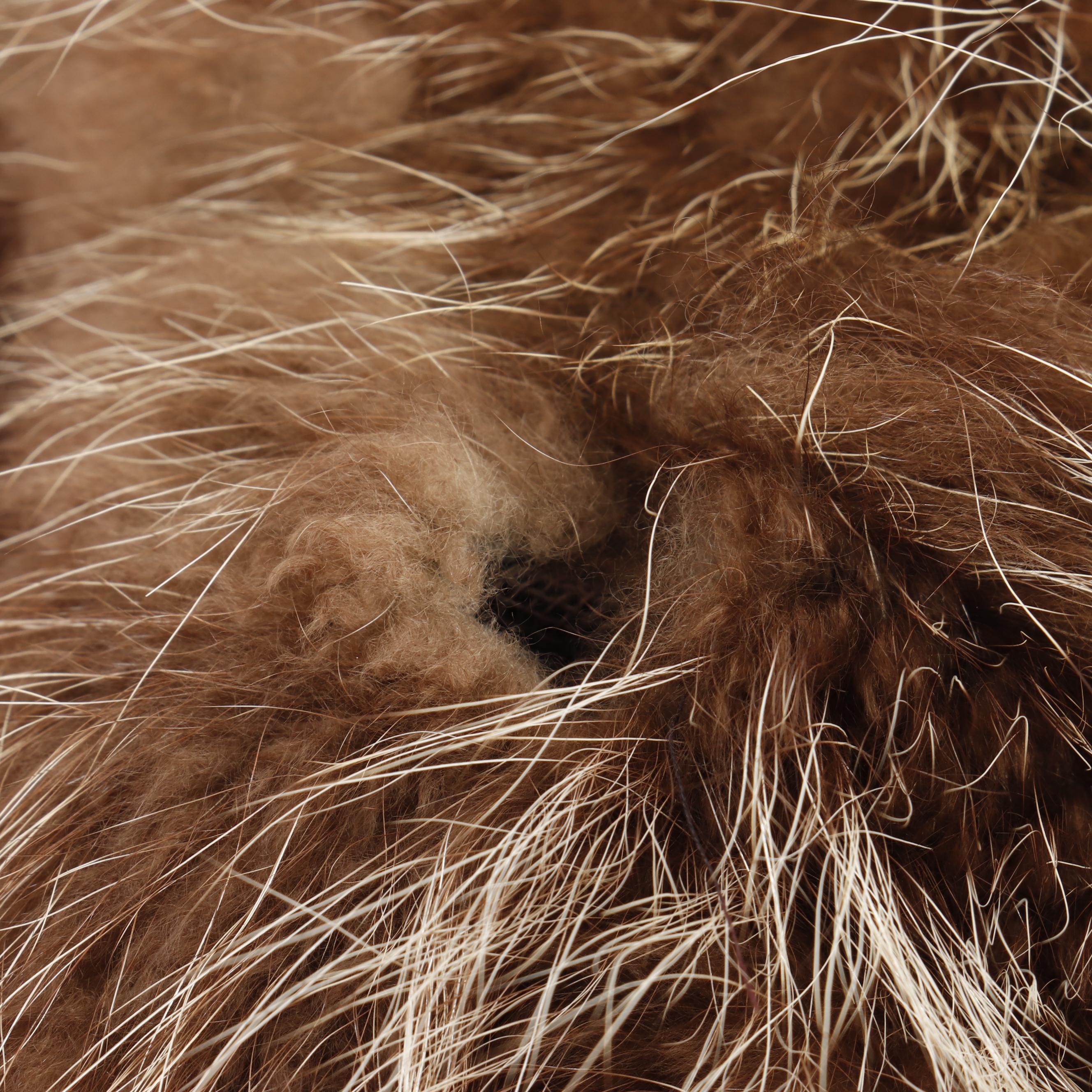 Women's Pd Furs Raccoon Fur Coat, Made in Greece, Vintage