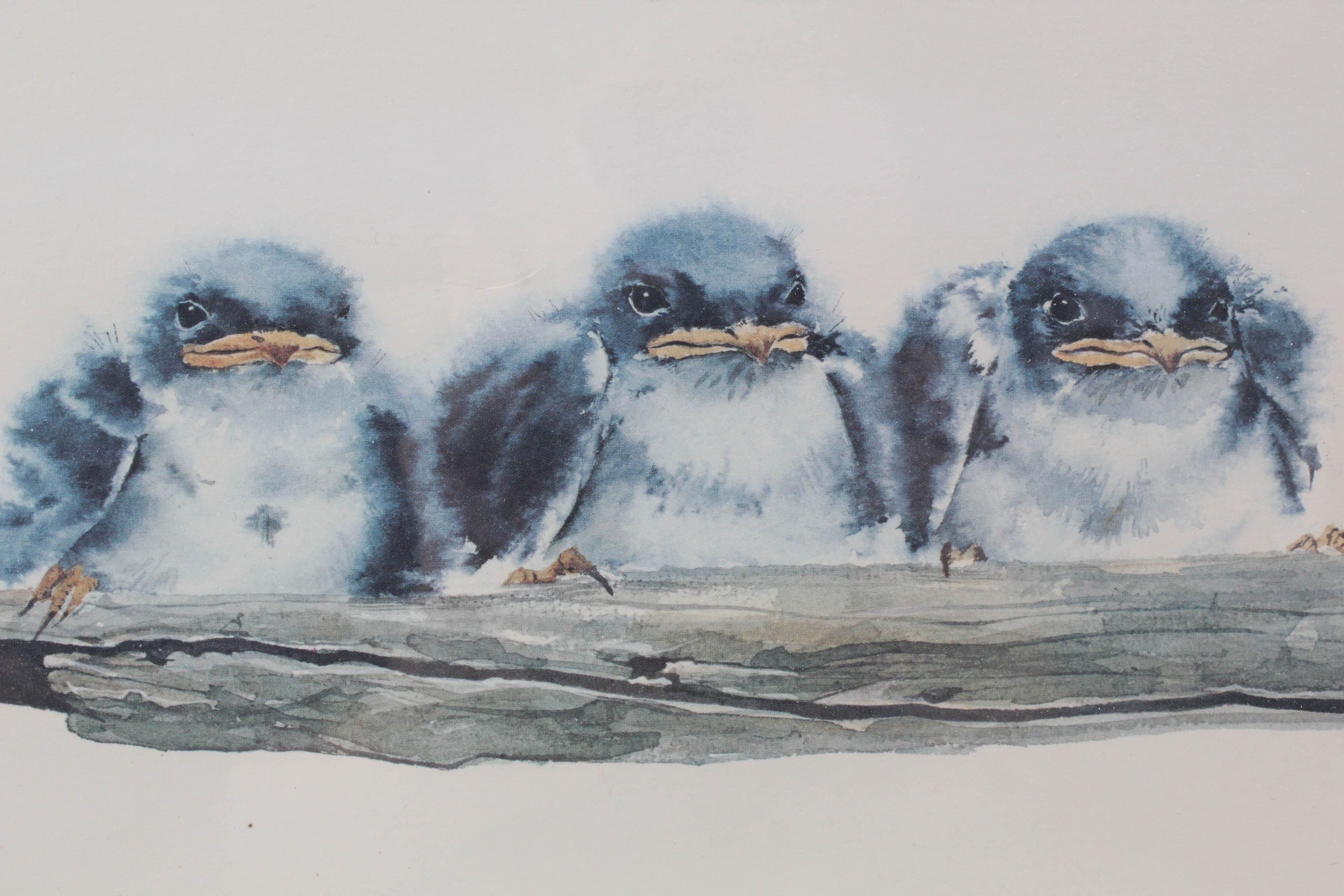 Chinese Avian Prints Including Frank T. Gee "Three Swallows"