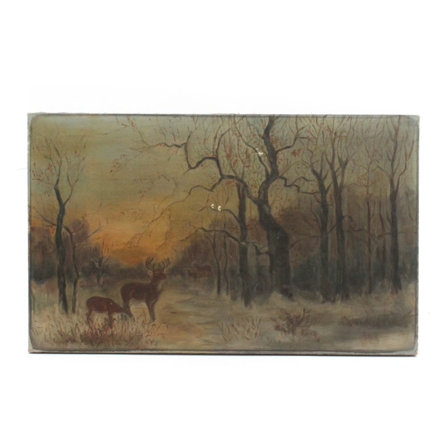 Wildlife Oil Painting