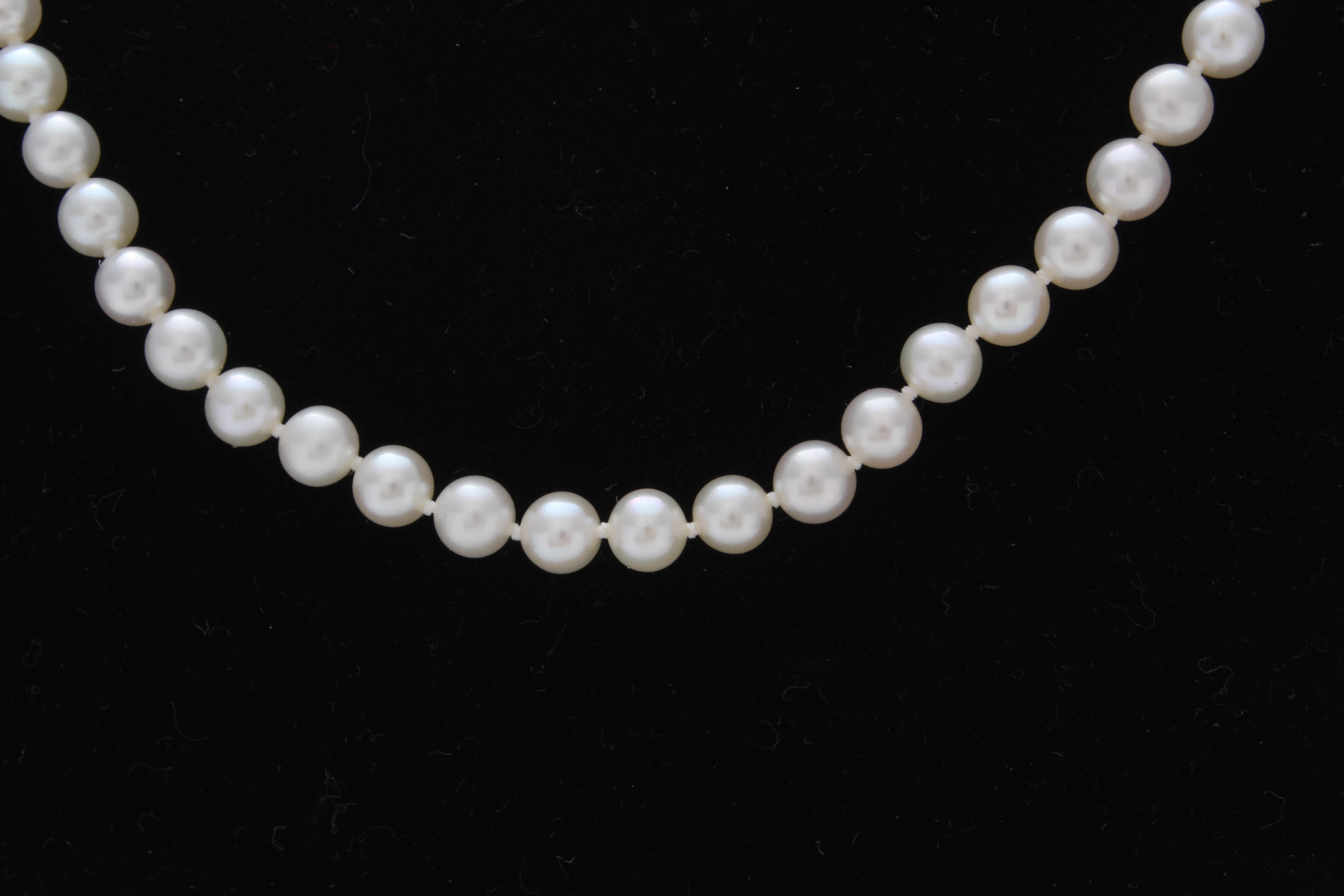 Honora 14K Yellow Gold and Freshwater Pearl Necklace