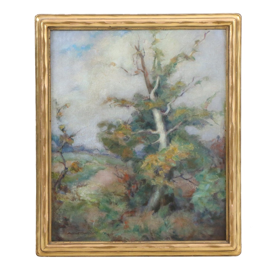 Annie Campbell Mid Century Oil Painting "The Sycamore"