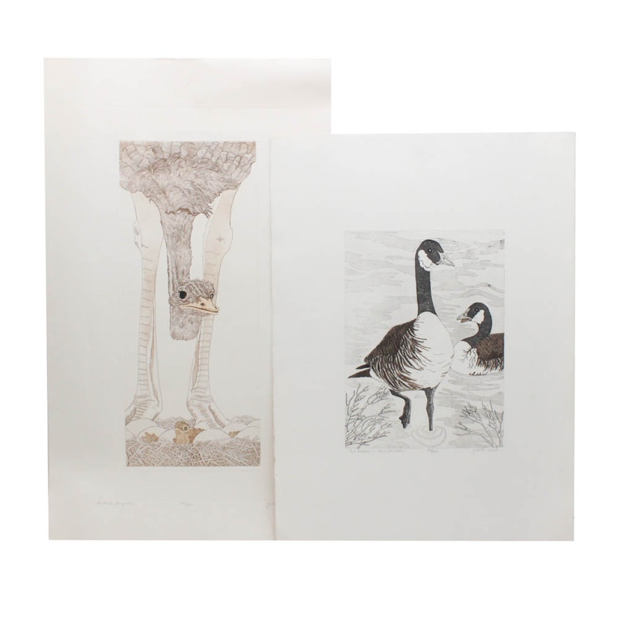 Judith Hall Hand-Colored Etchings "Fertile Myrtle" and "His Goose... Her Gander"