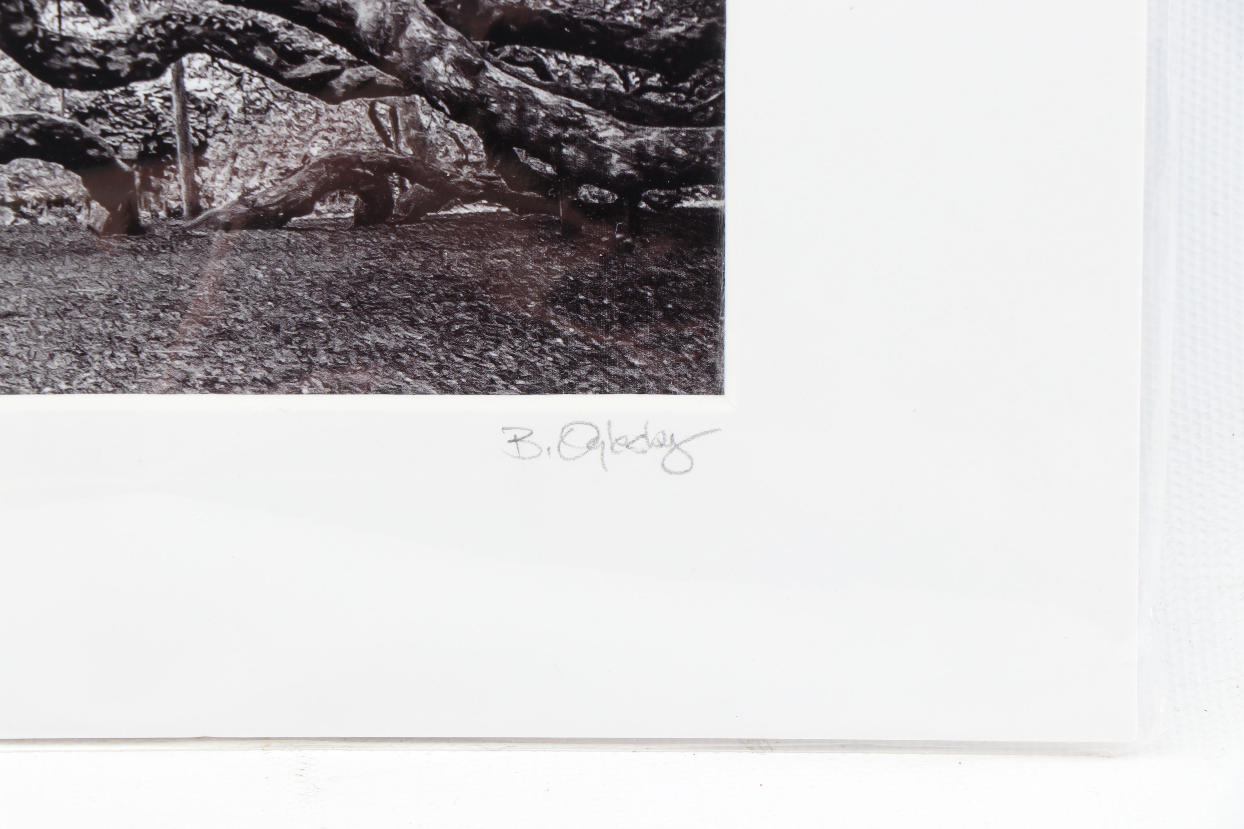 Butch Oglesby Photograph "Angel Oak"