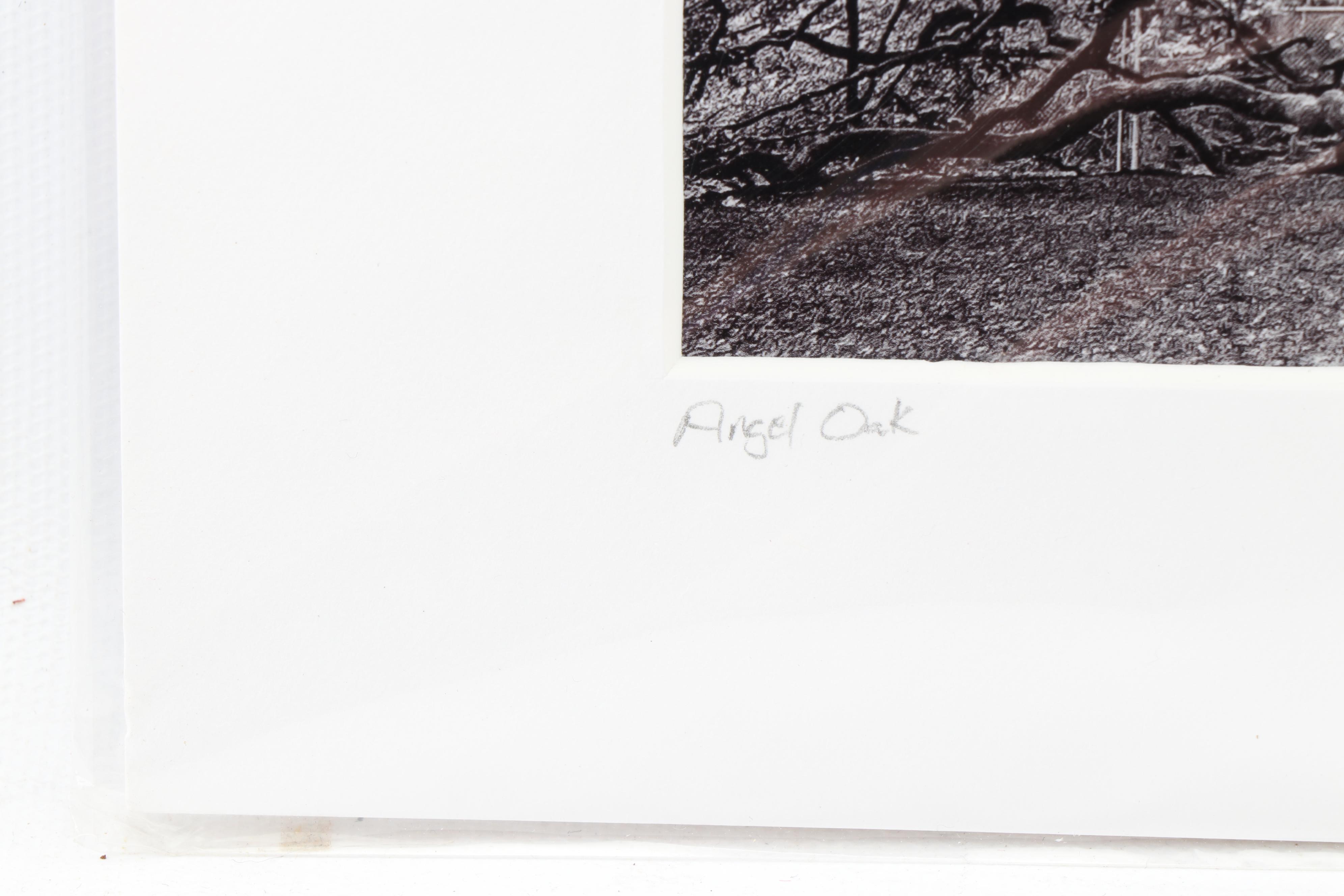 Butch Oglesby Photograph "Angel Oak"