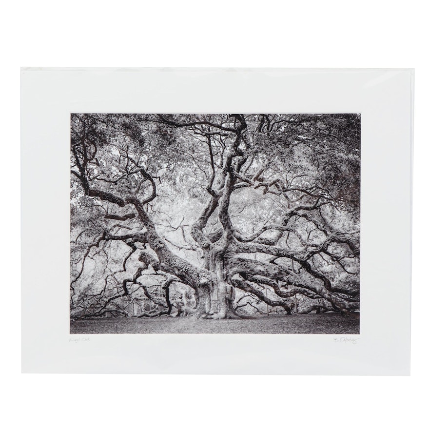 Butch Oglesby Photograph "Angel Oak"
