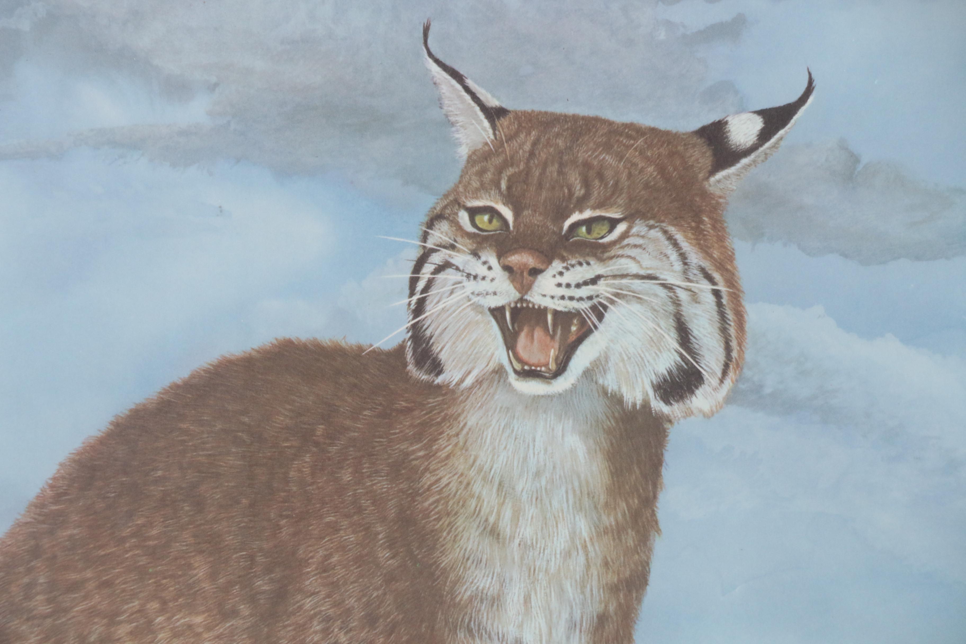 Ray Harm Offset Lithograph "Bobcat, Lynx Rufus"