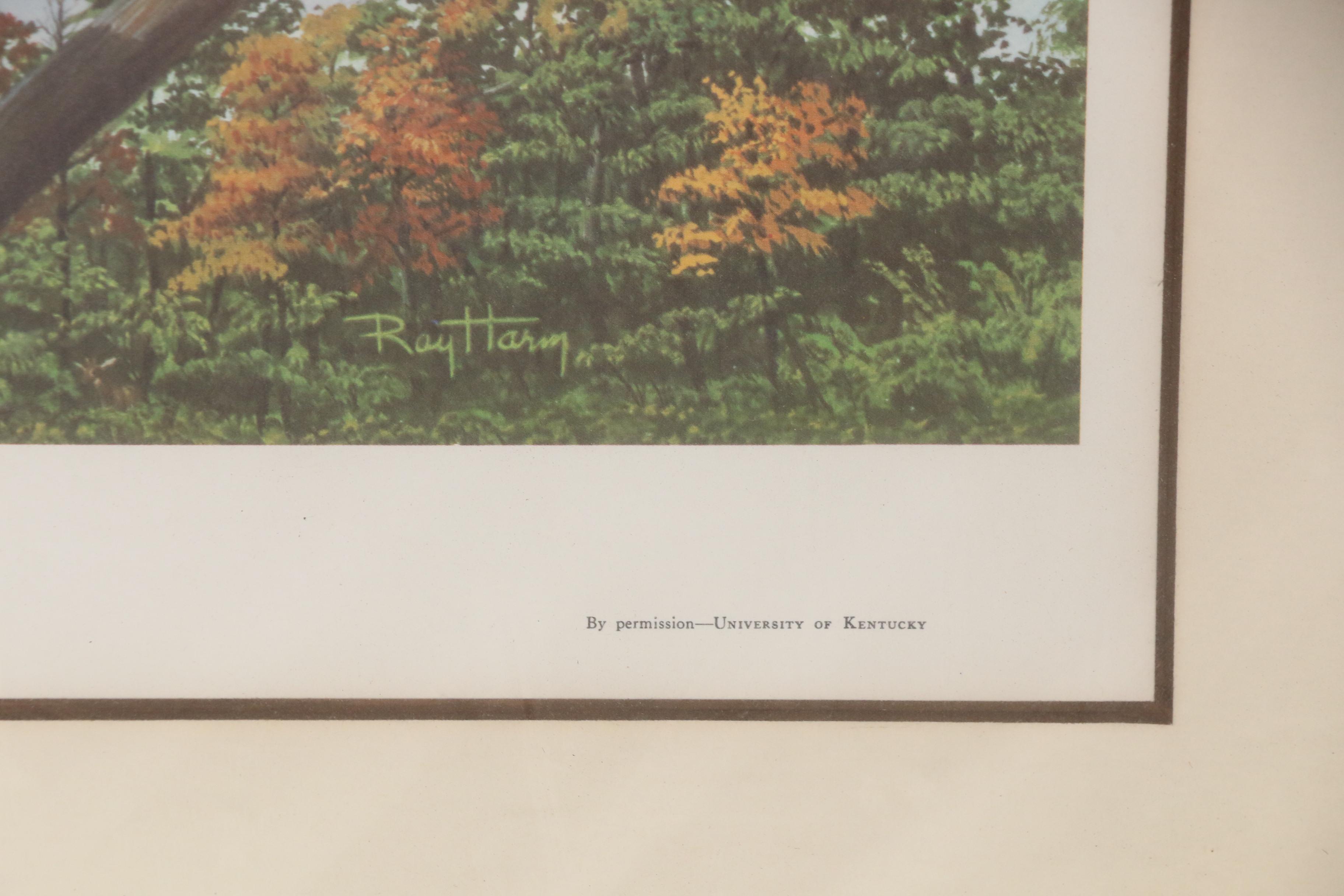 Ray Harm Offset Lithograph "Bobcat, Lynx Rufus"