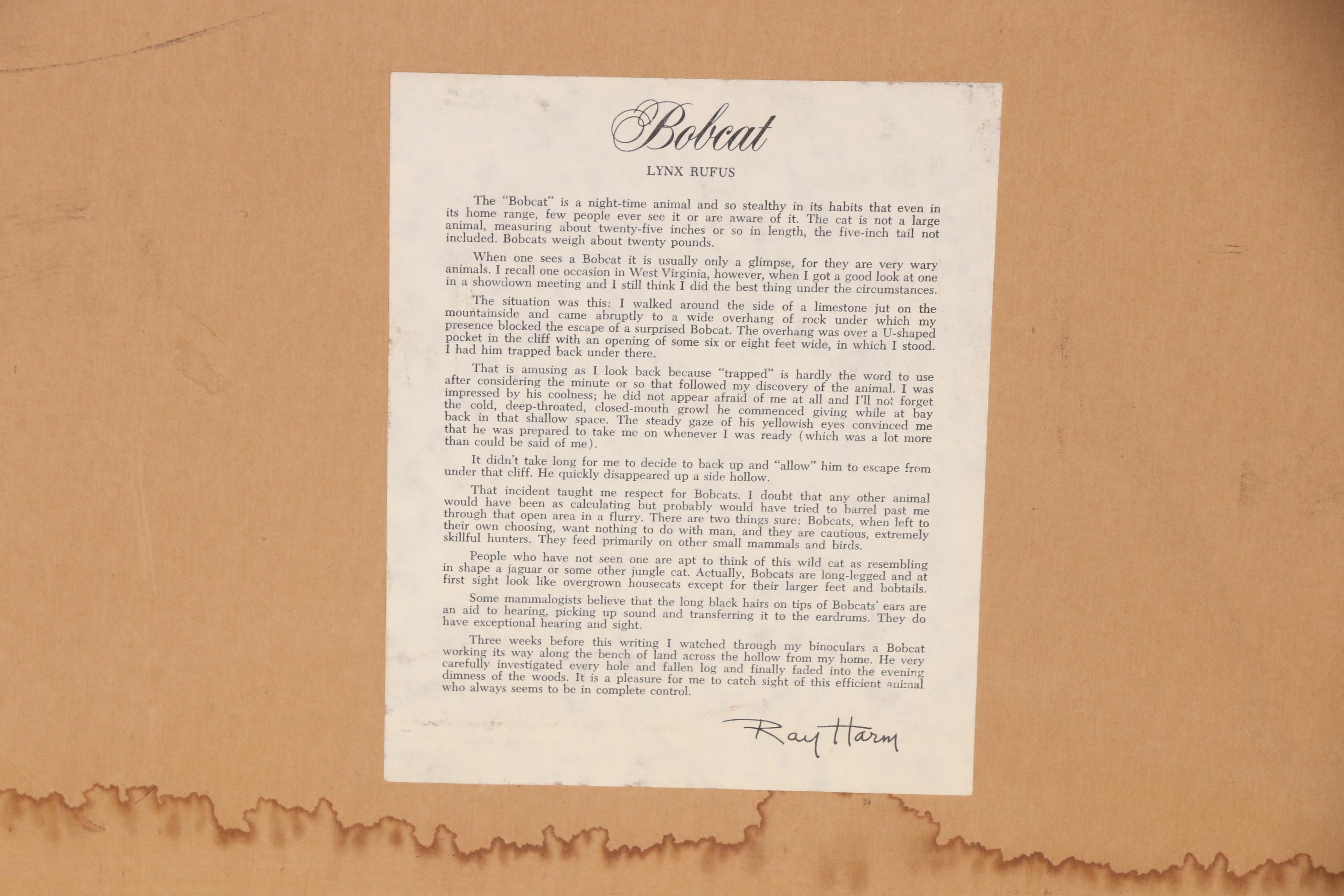 Ray Harm Offset Lithograph "Bobcat, Lynx Rufus"