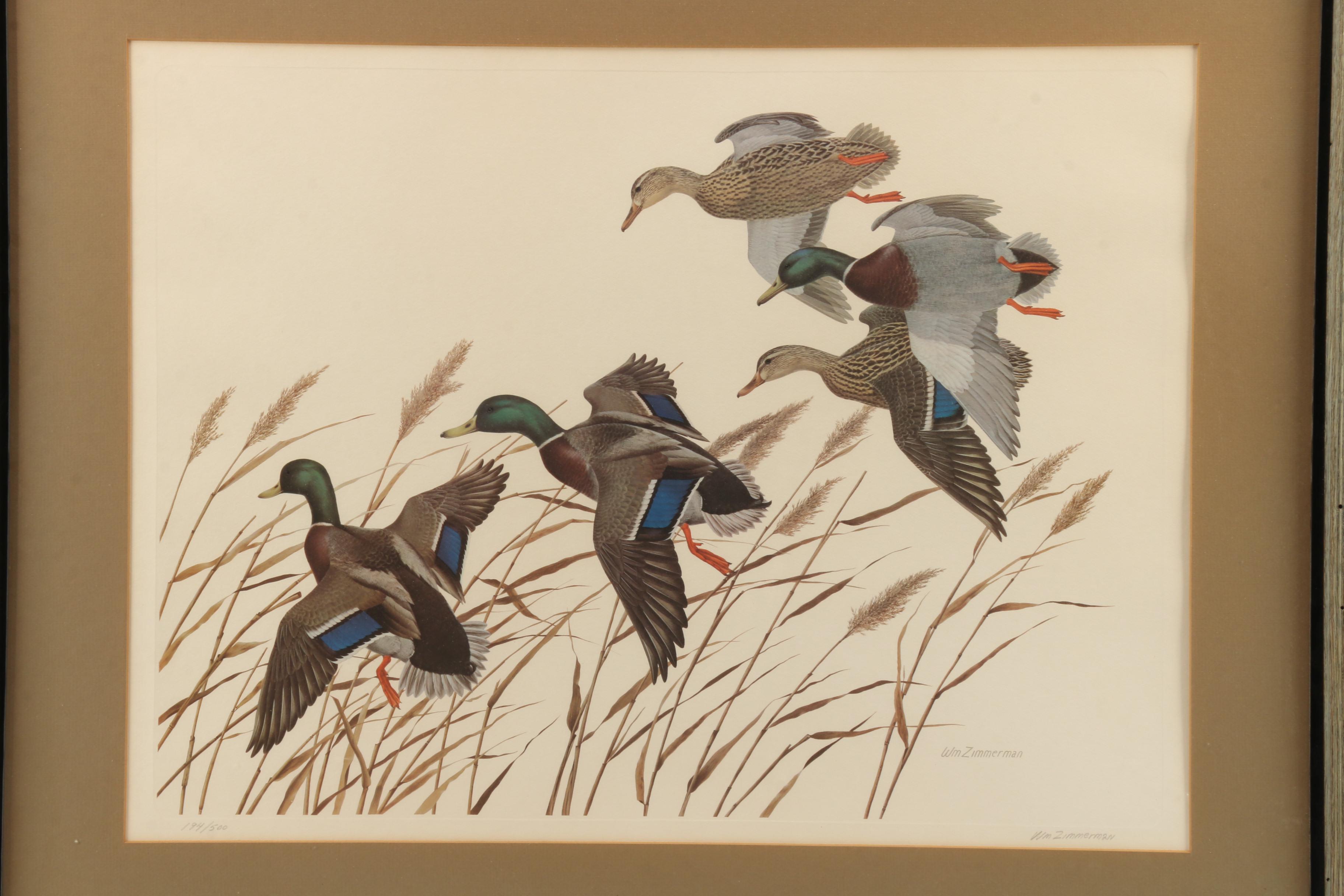 William Zimmerman Limited Edition Offset Lithograph of Ducks in Flight