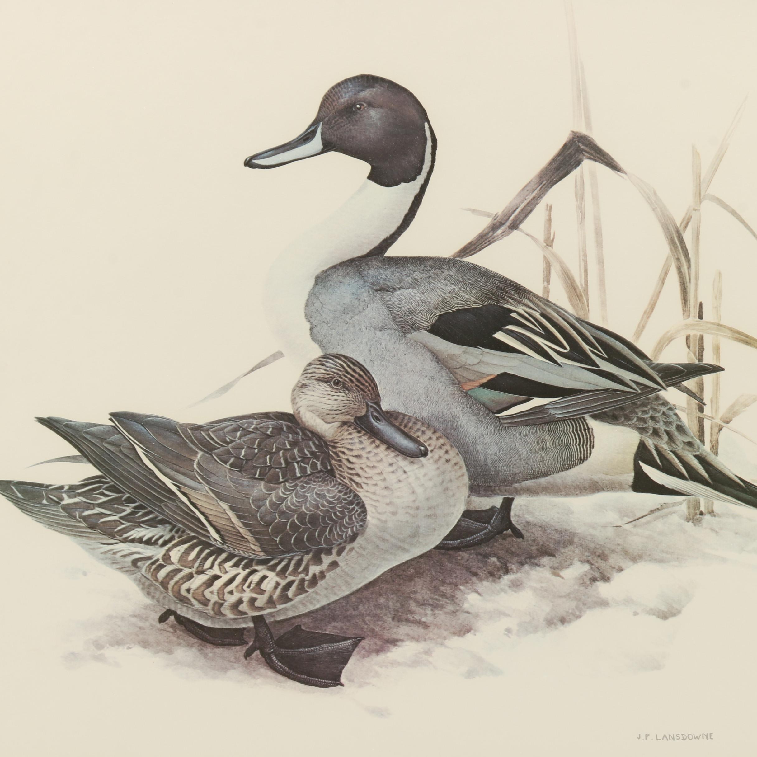 James F. Lansdowne Limited Edition Offset Lithograph of Ducks