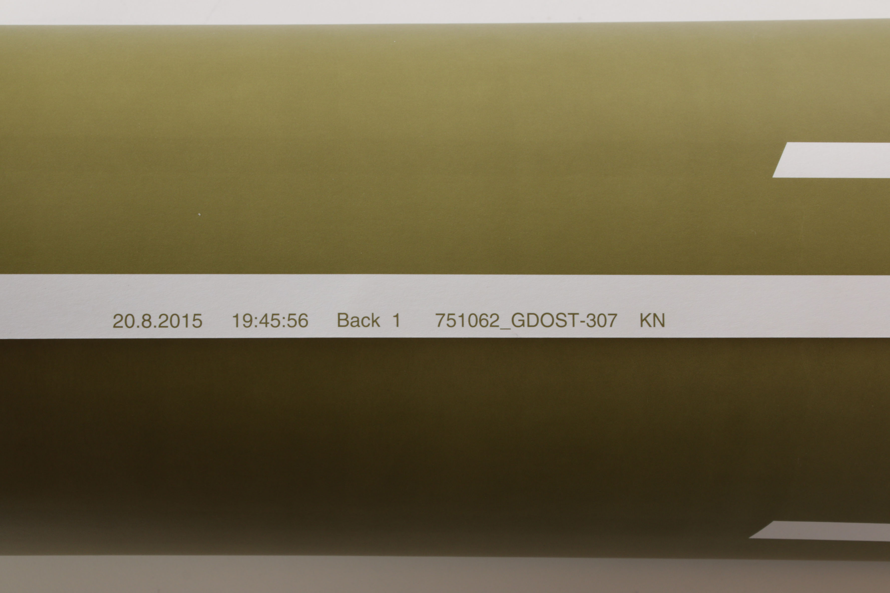 Trey Anastasio "Paper Wheels" Offset Lithograph Album Cover Artwork Sheets