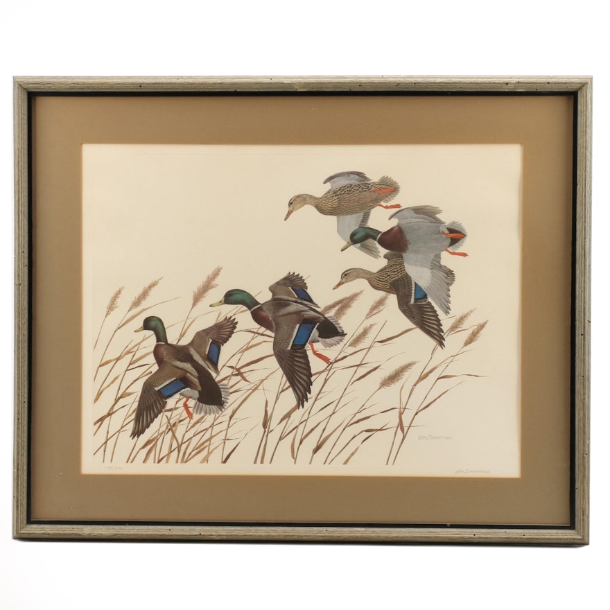 William Zimmerman Limited Edition Offset Lithograph of Ducks in Flight