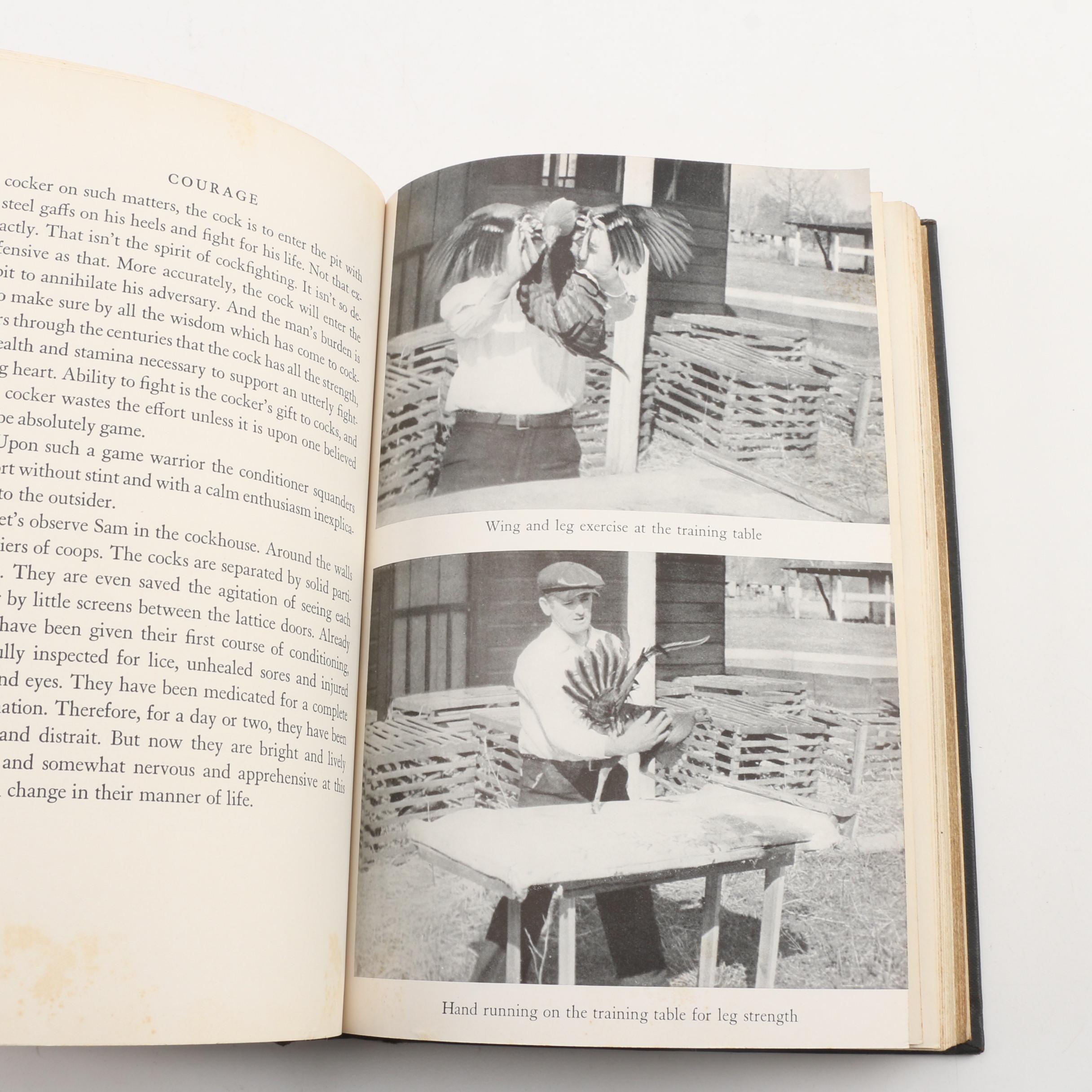 1938 "Courage: the Story of Modern Cockfighting"