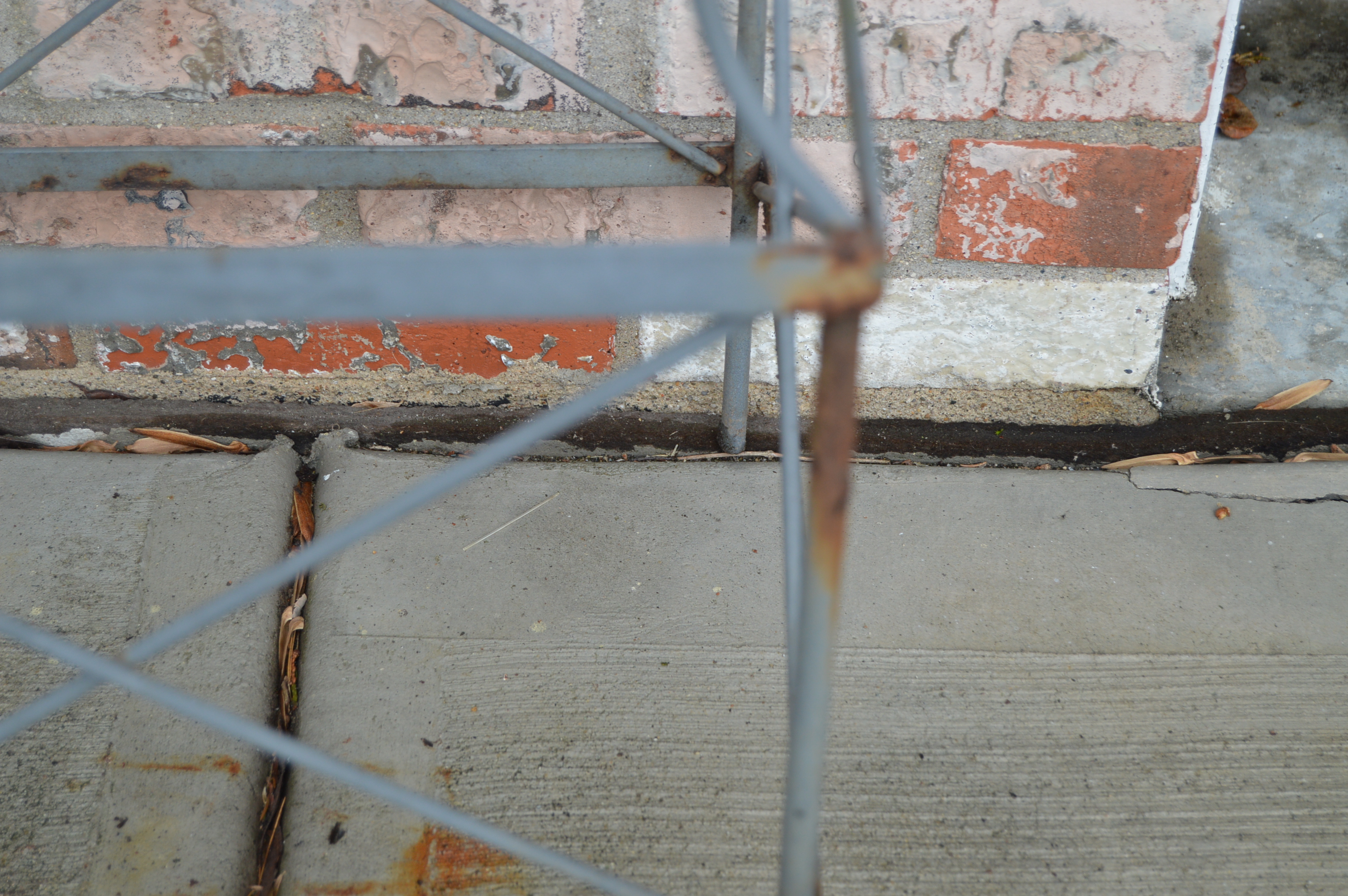 Painted Metal Garden Obelisk/Topiary