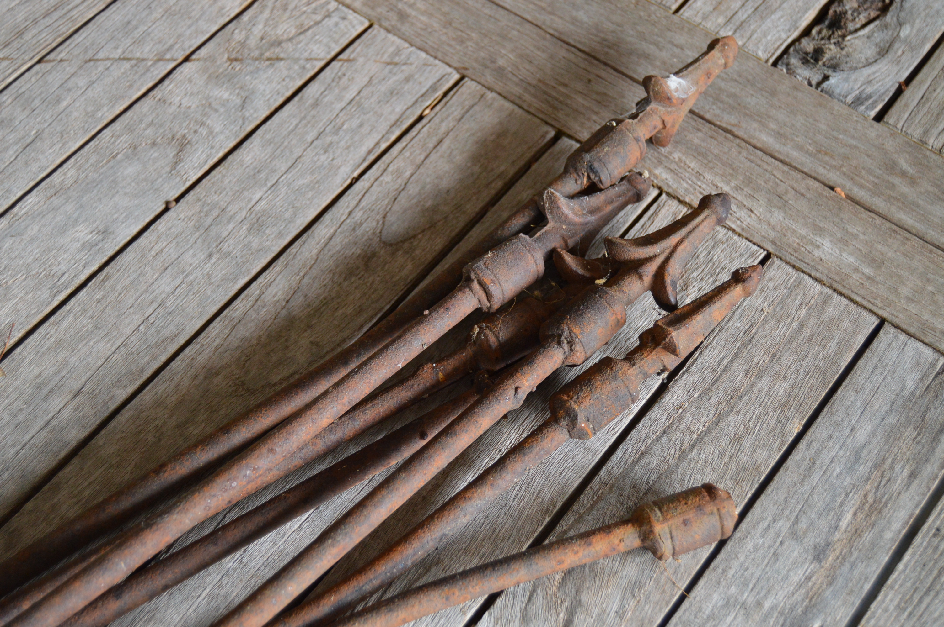 Victorian Style Iron Garden Fencing, Eleven Panels
