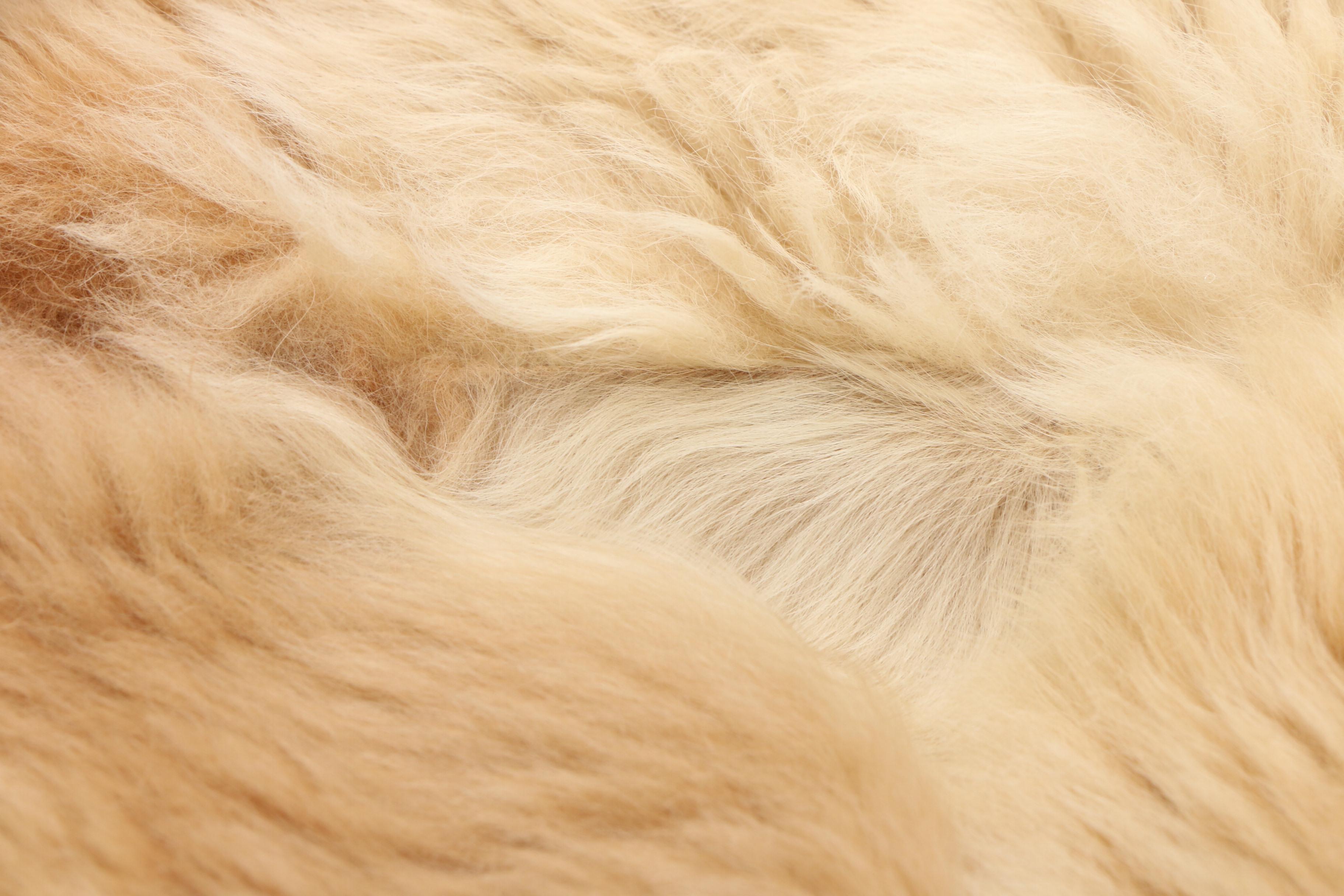 Talat Paneled Argentinian Vicuna Pelt Blanket
