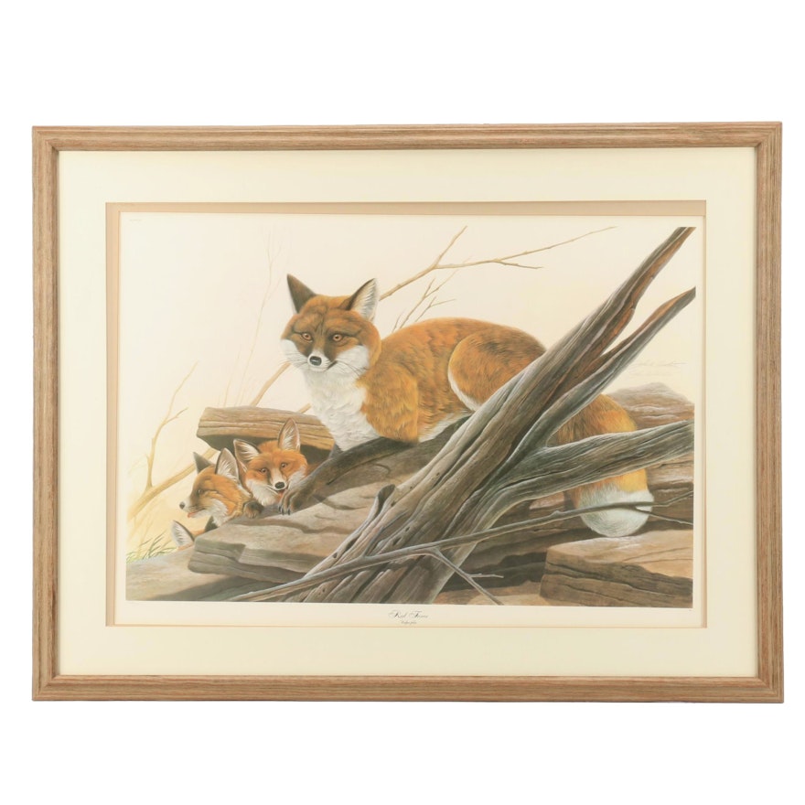 John Ruthven Limited Edition Offset Lithograph "Red Foxes"