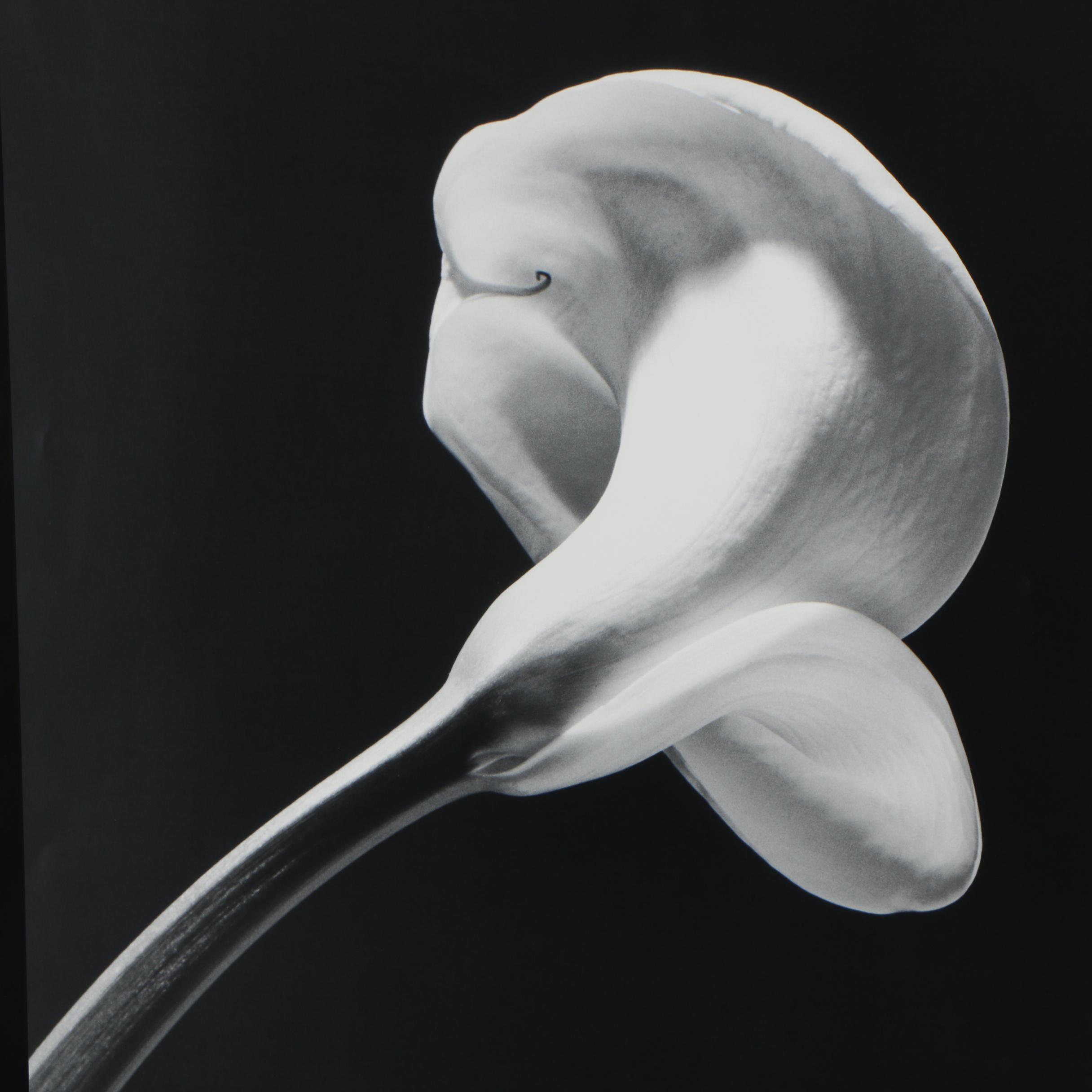 Robert Mapplethorpe 1990 Exhibition Poster "The Perfect Moment"
