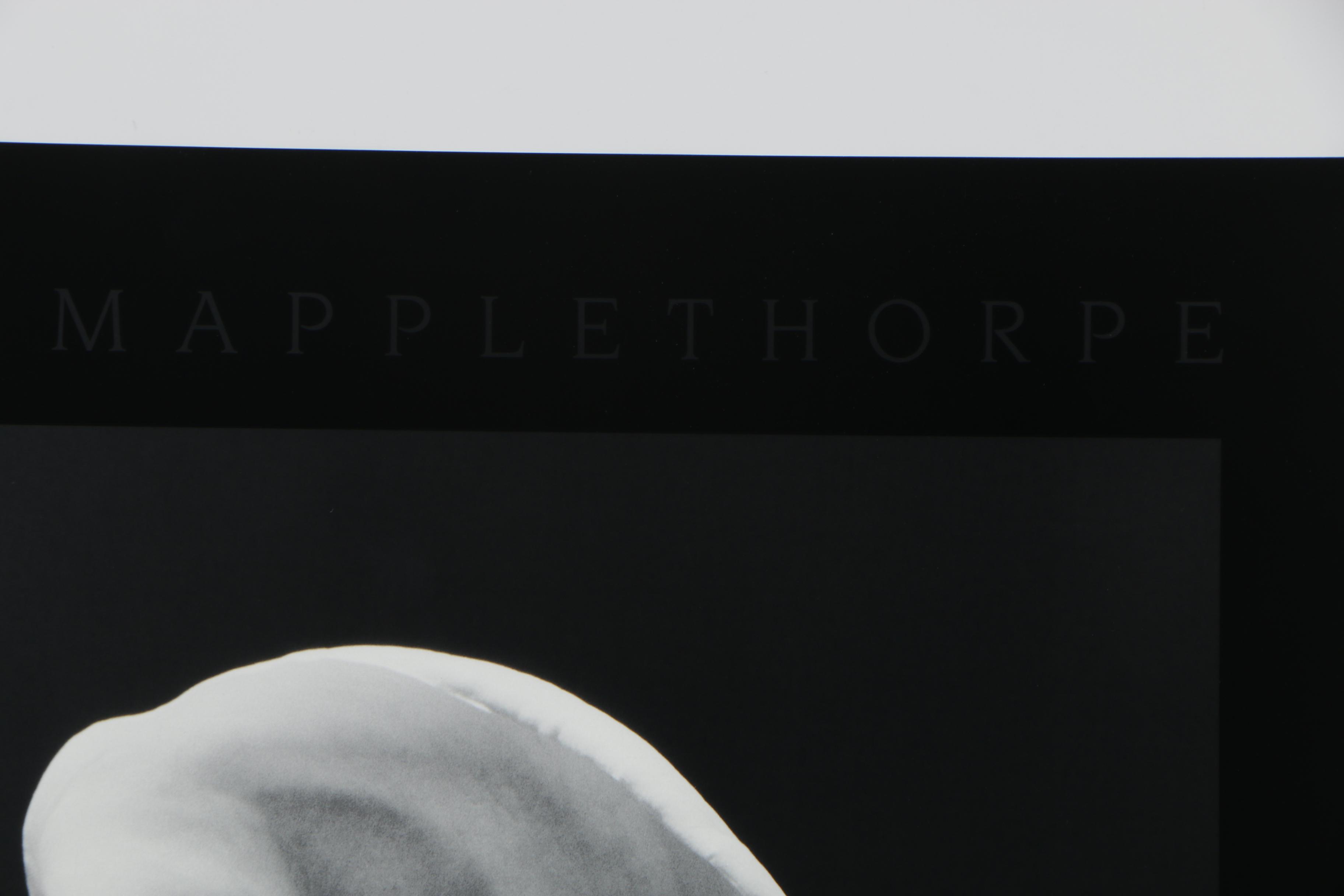 Robert Mapplethorpe 1990 Exhibition Poster "The Perfect Moment"