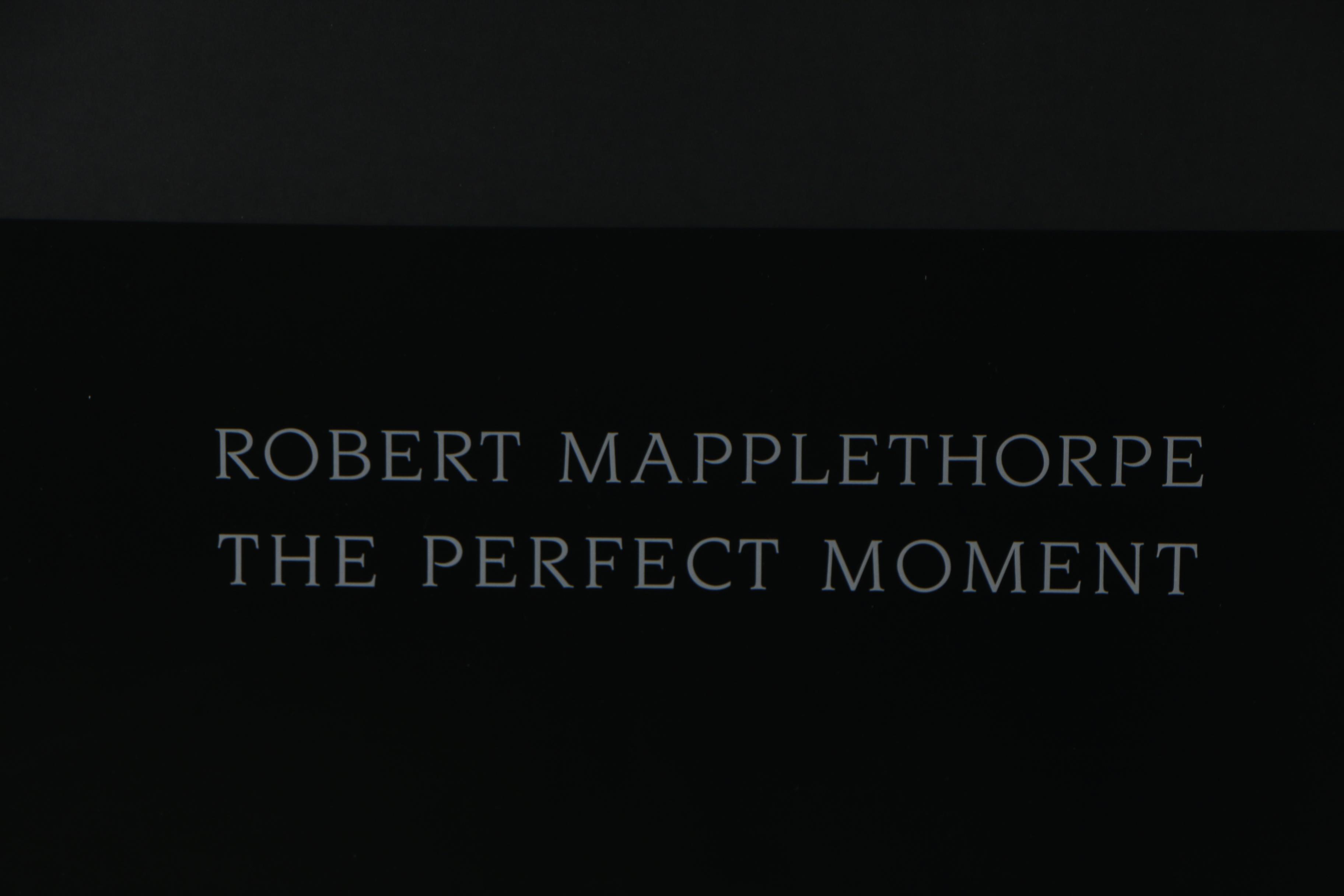 Robert Mapplethorpe 1990 Exhibition Poster "The Perfect Moment"