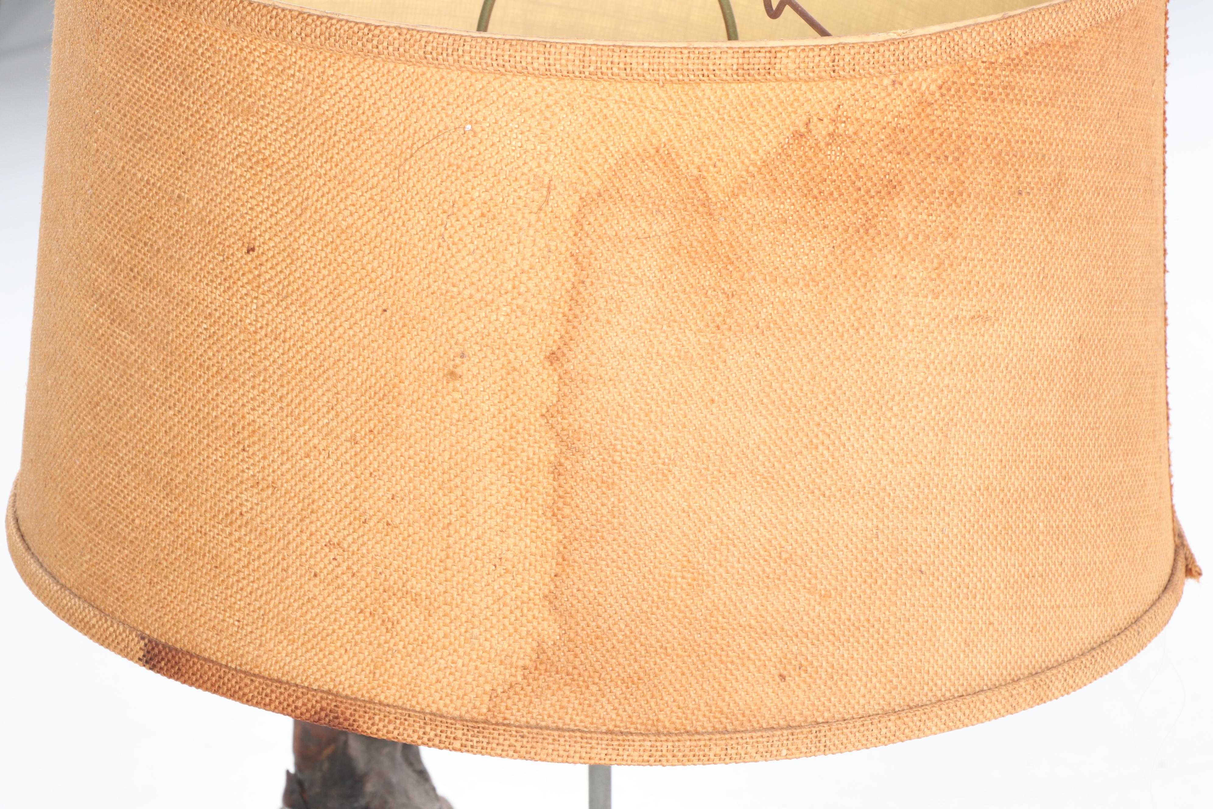 Mounted Driftwood Table Lamp with Shade, Mid to Late 20th Century