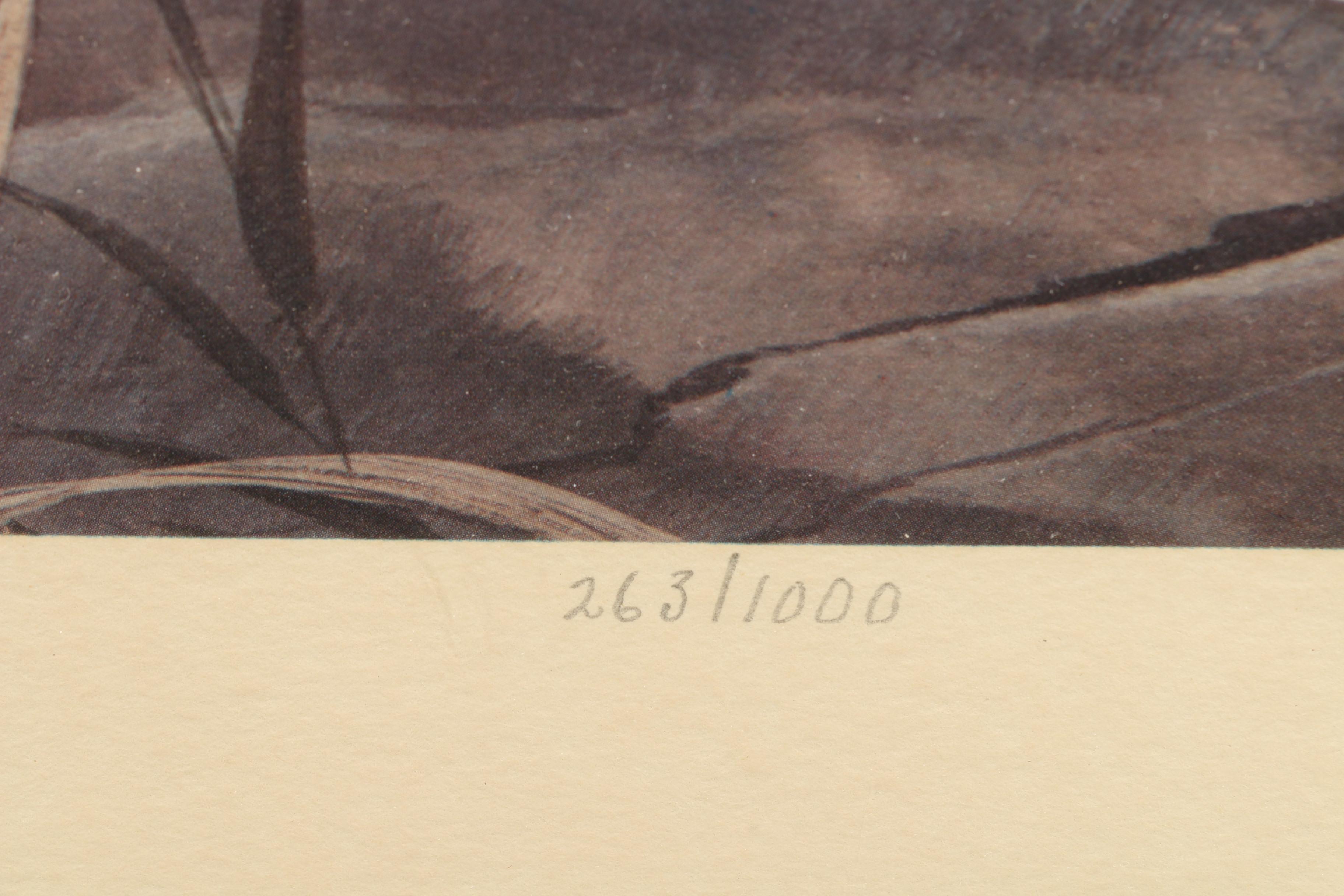 John Ruthven Offset Lithograph "Bengal Tiger"