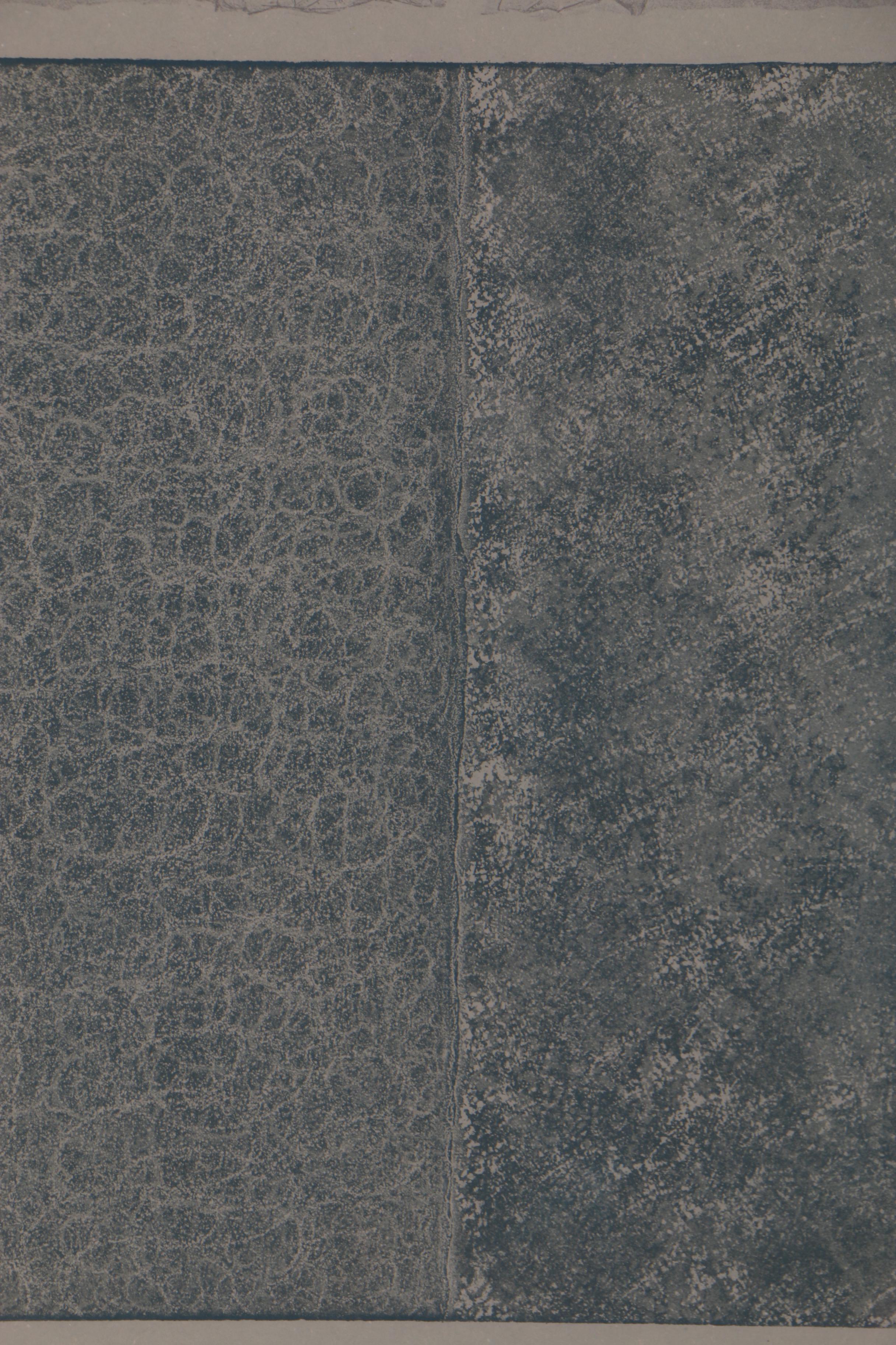 Tom Levine Limited Edition Color Etching "Opus 51 No. 2", 1982