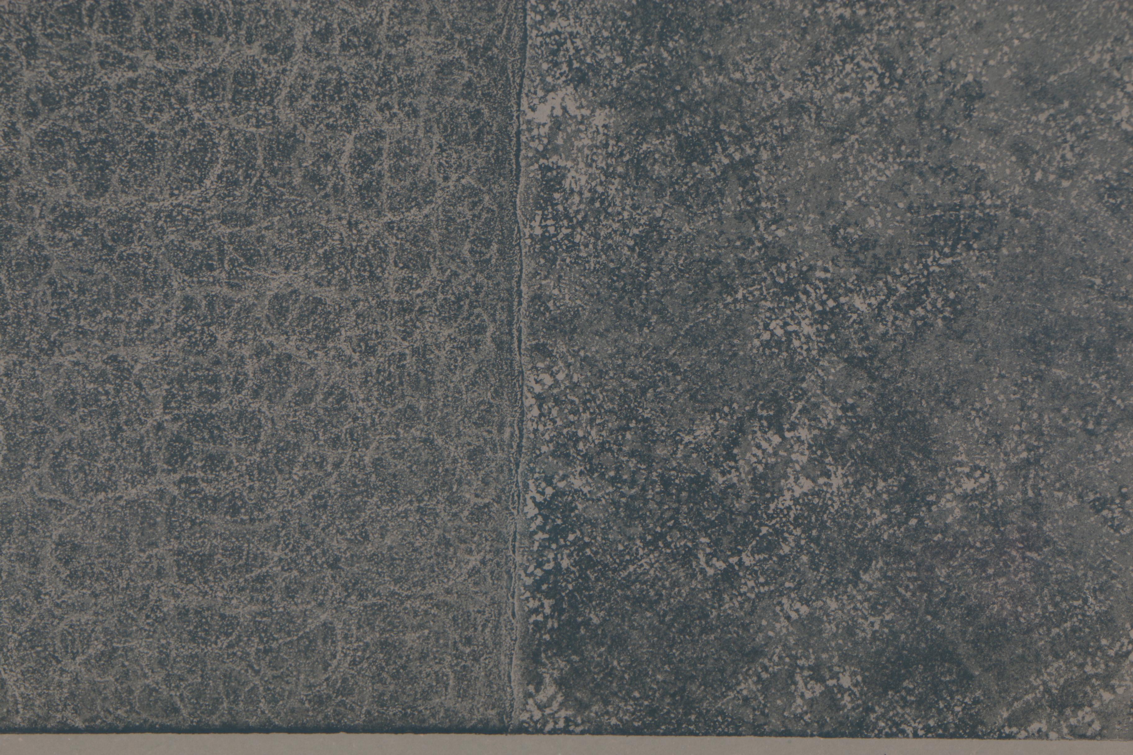 Tom Levine Limited Edition Color Etching "Opus 51 No. 2", 1982