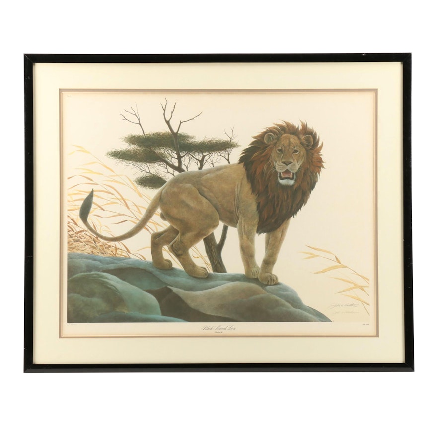 John Ruthven Offset Lithograph "Black Maned Lion"