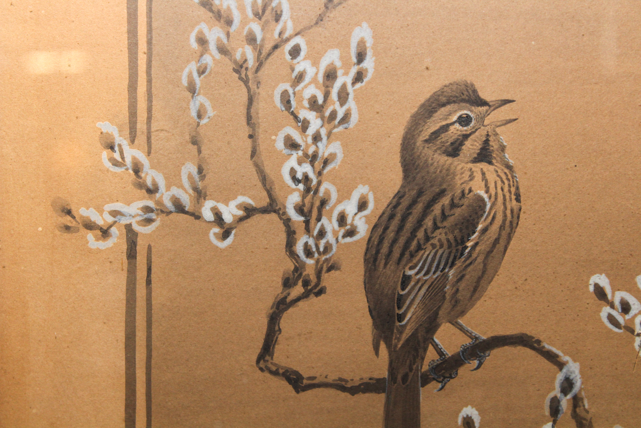 Edmund Sawyer Naturalist Watercolor