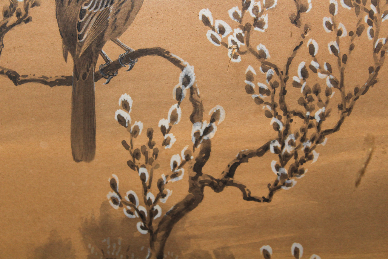 Edmund Sawyer Naturalist Watercolor