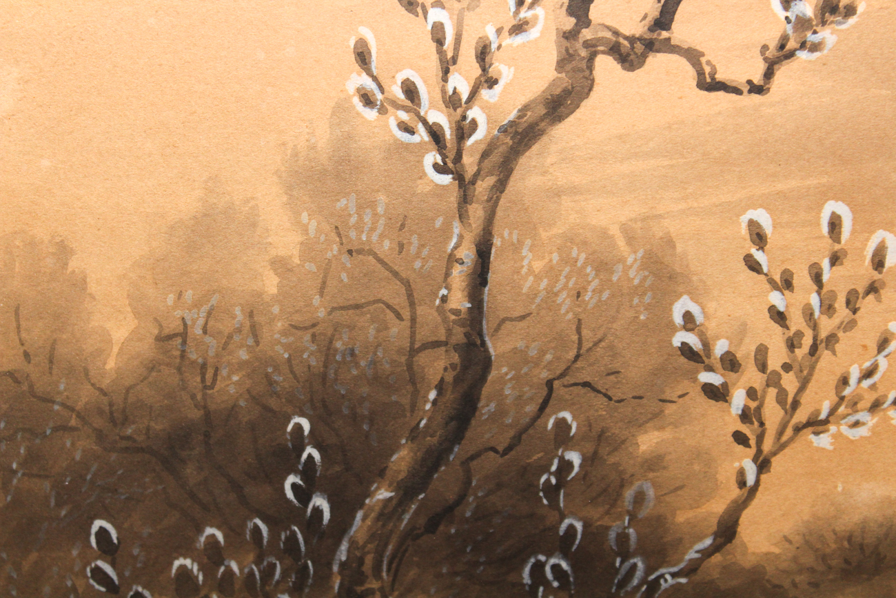 Edmund Sawyer Naturalist Watercolor