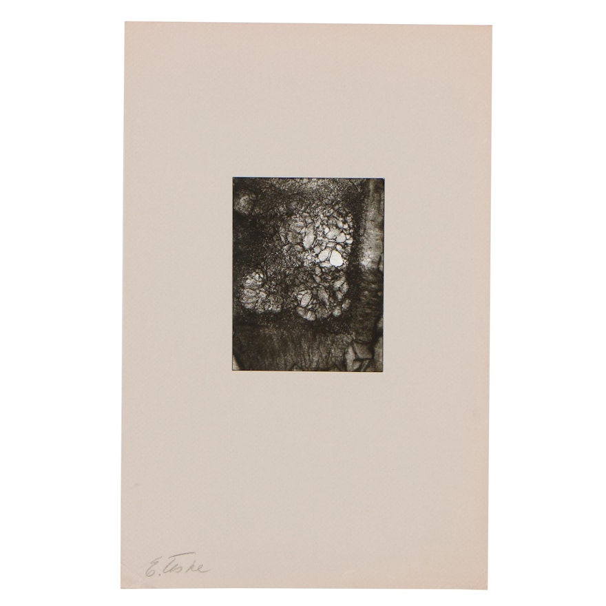 Edmund Teske Gelatin Silver Abstract Photograph