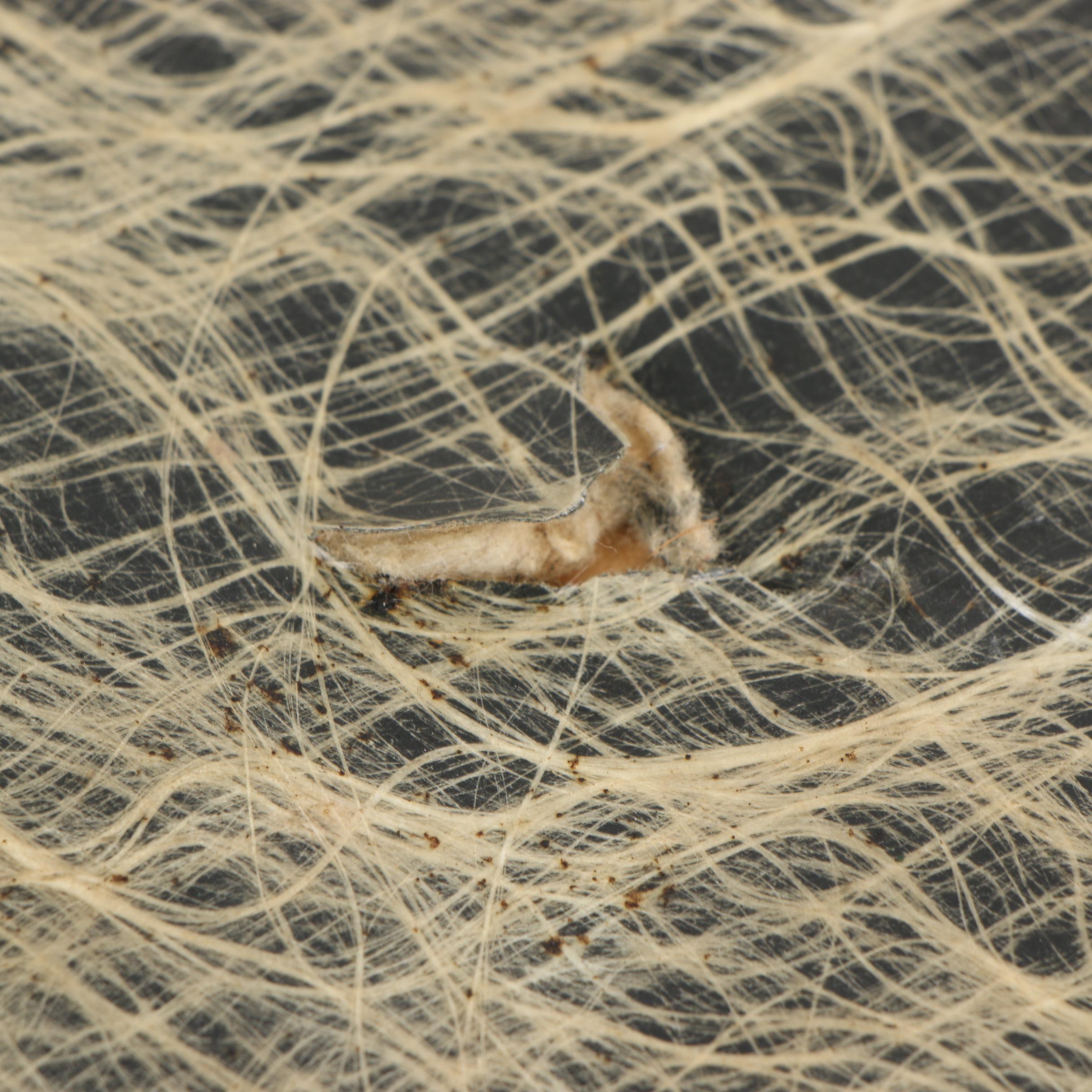 Maximillian New York Fibre Glass Canvas Suitcase, 1940s Vintage